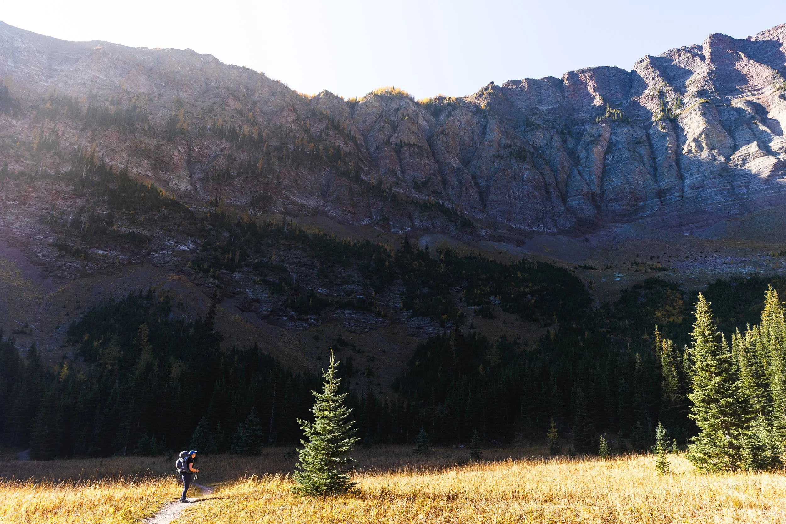 Rowe Meadows Tamarack Trail