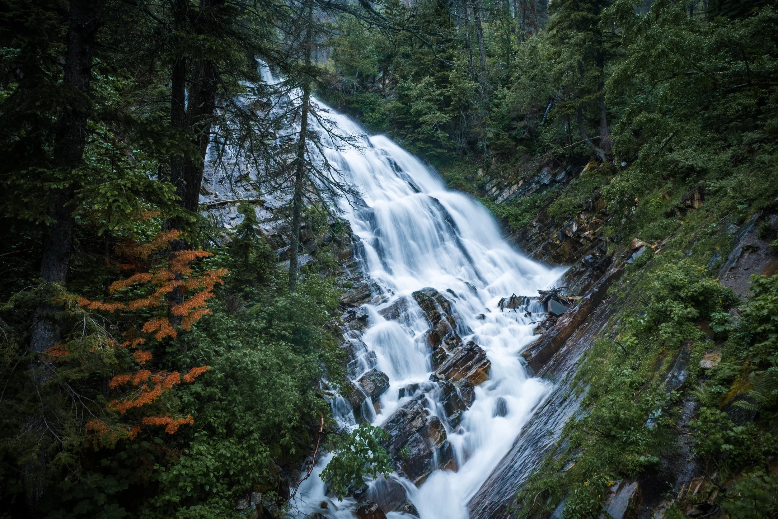 Bertha Falls