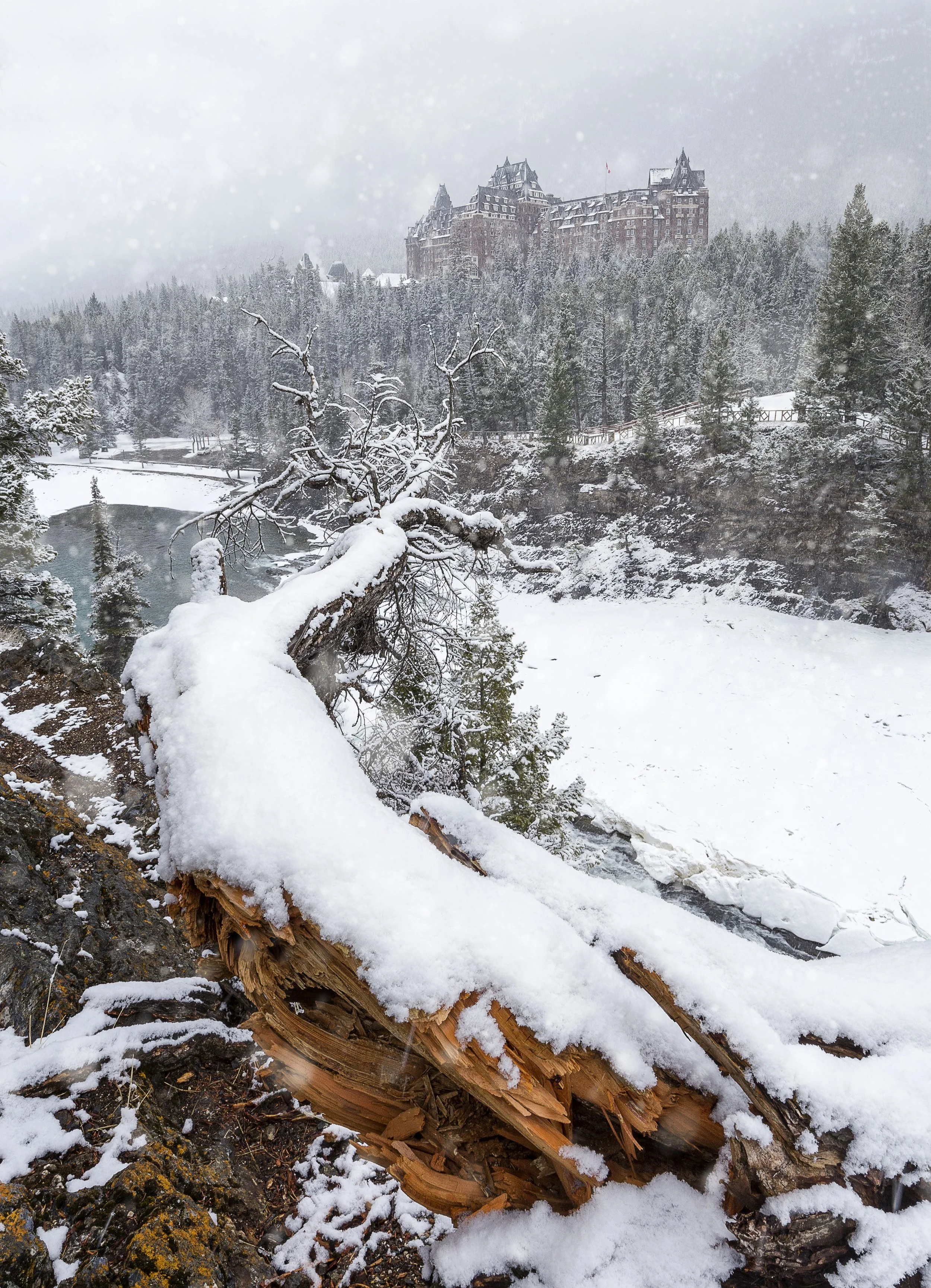 BranchFairmont copy.jpg