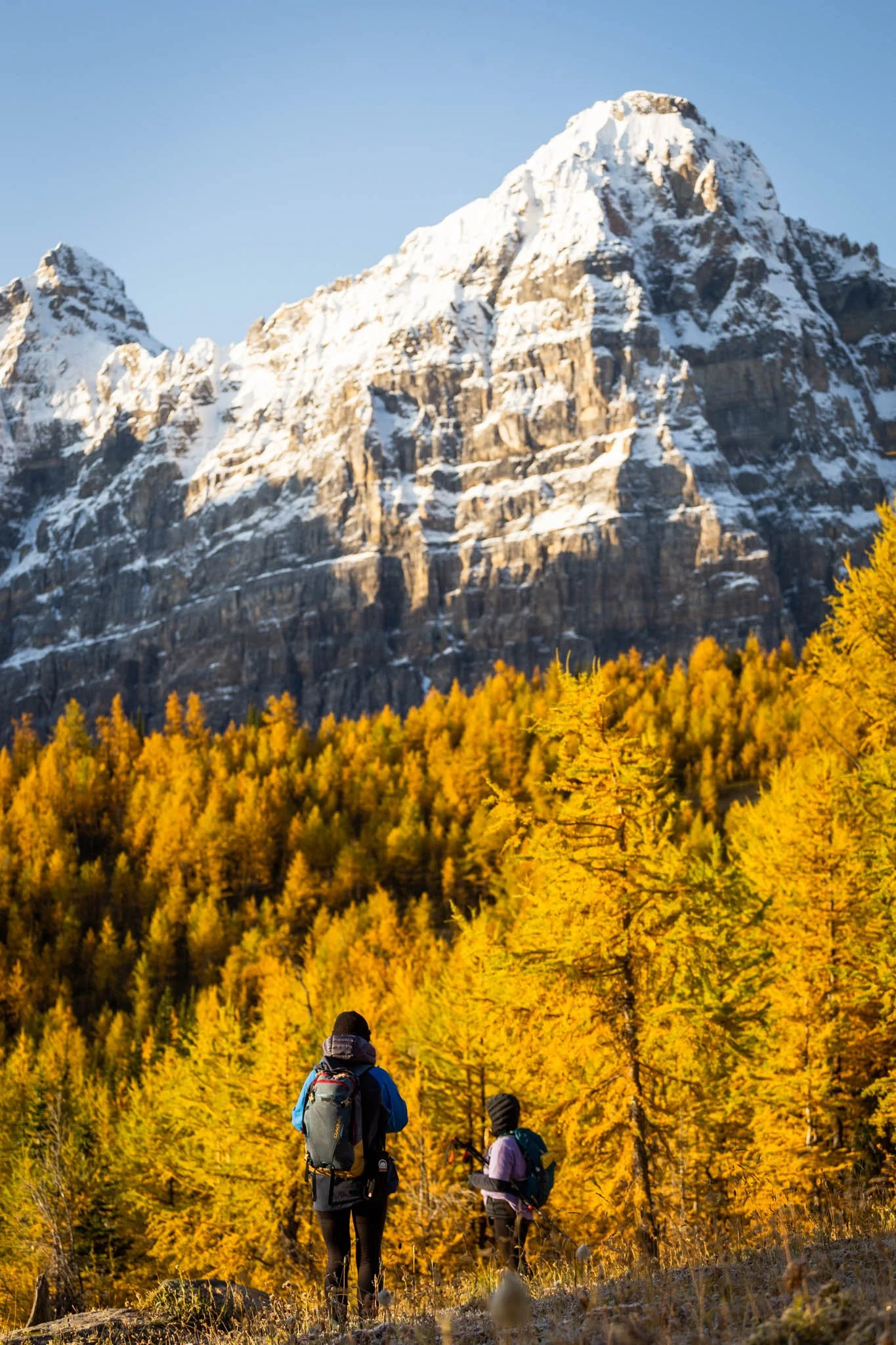 hiking larch valley sunrise