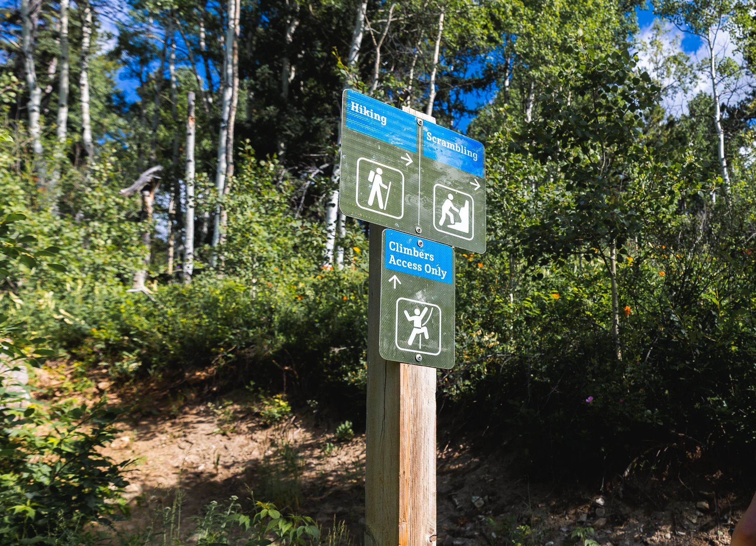yamnuska sign