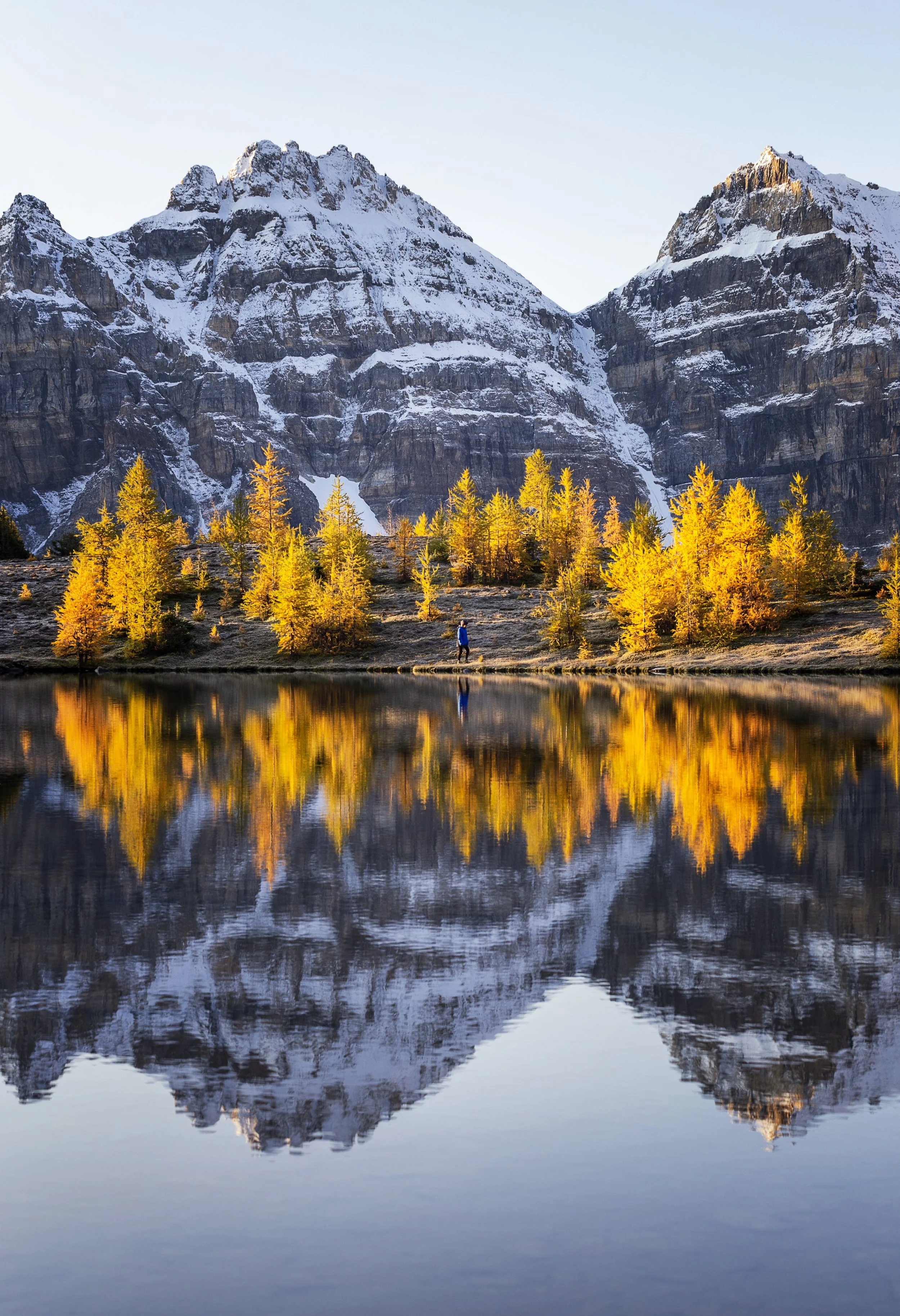 ReflectionCourt copy.jpg