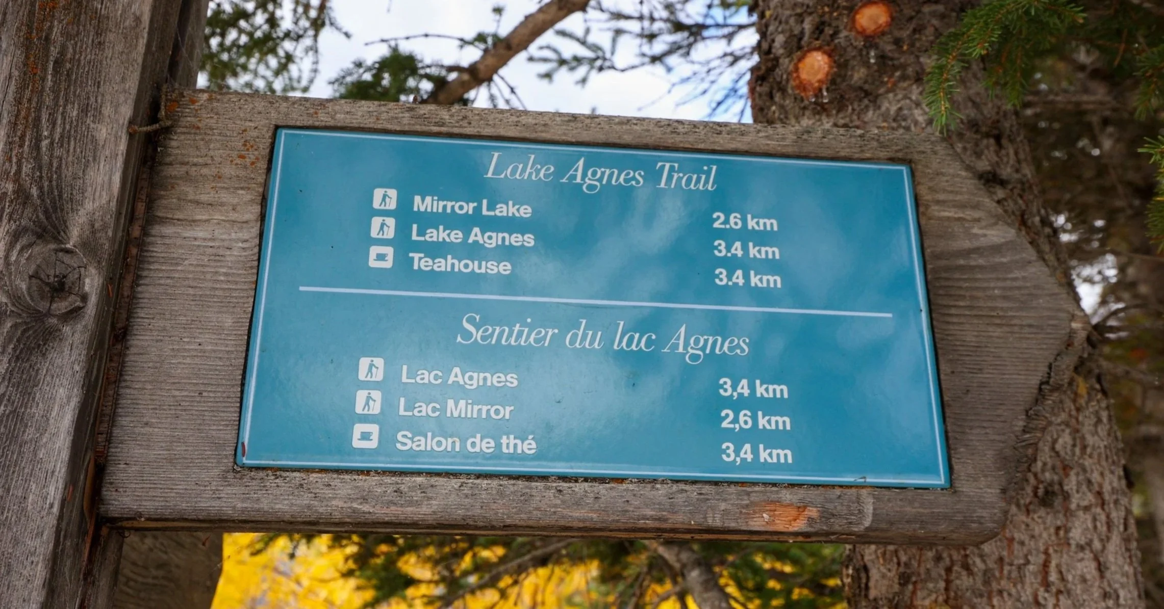 Lake Agnes signpost