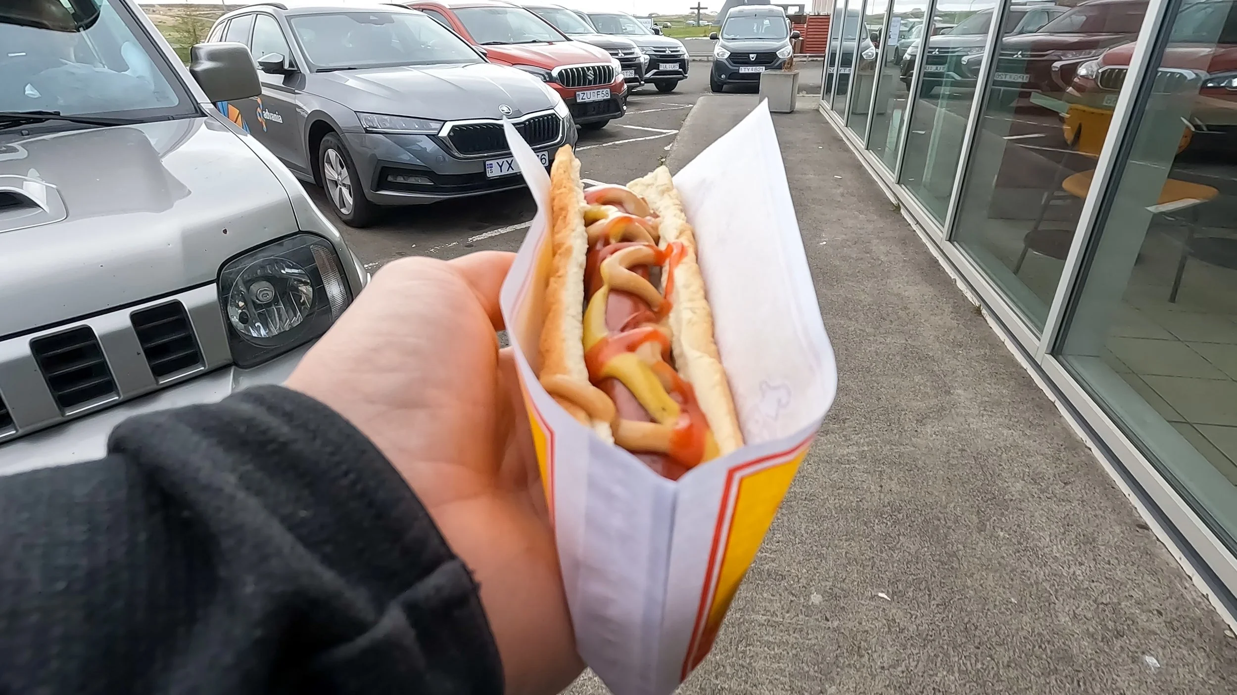 iceland hot dog