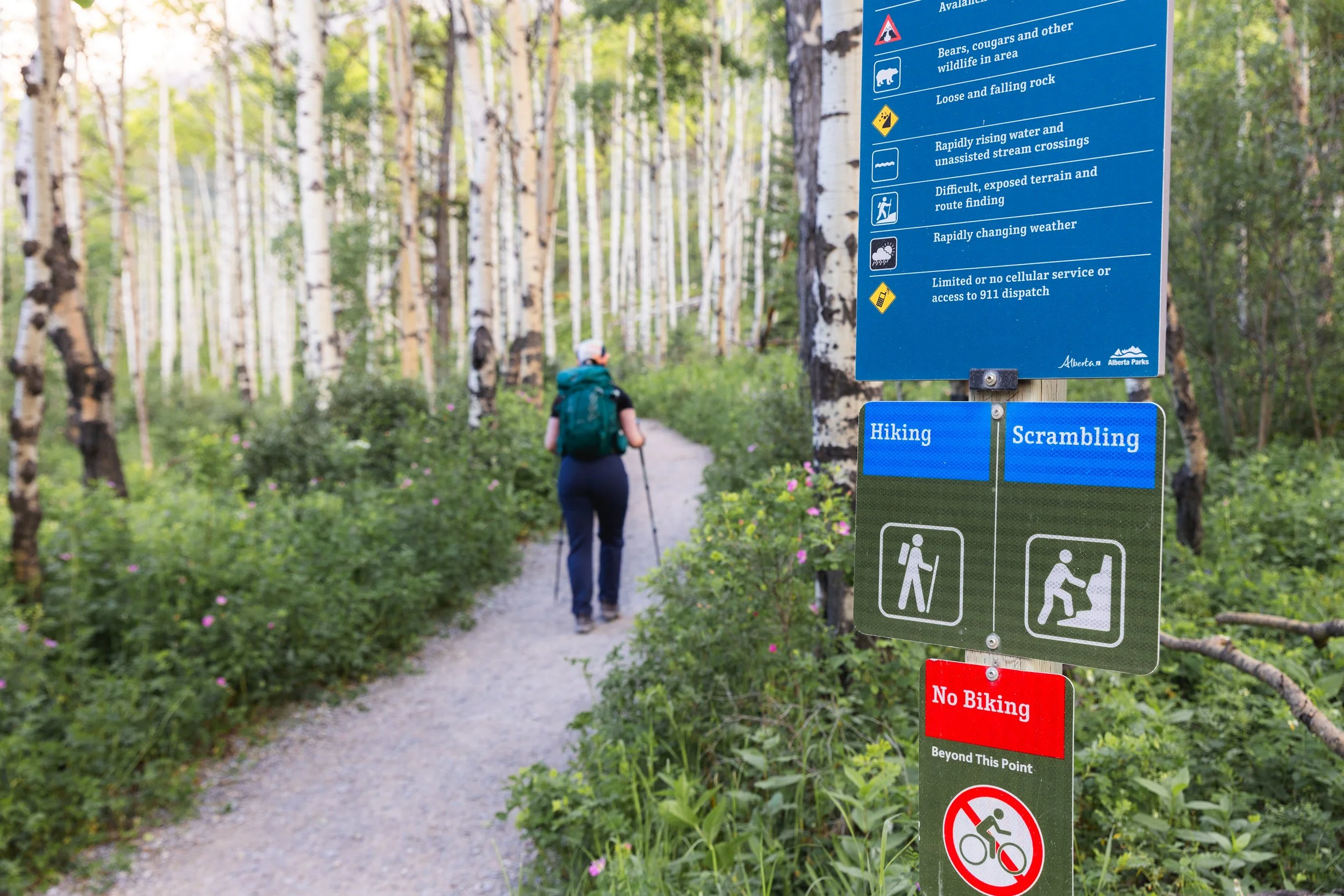 start of yamnuska