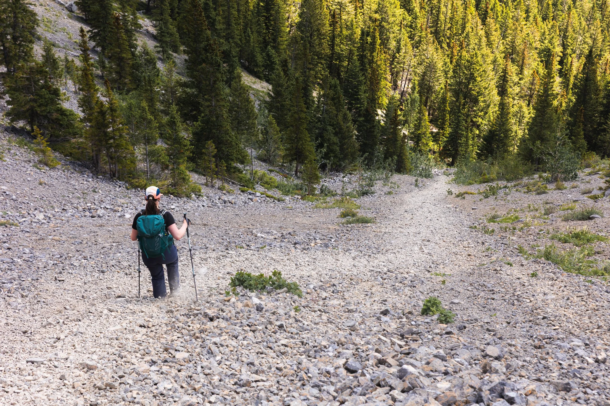 yamnuska scree descent