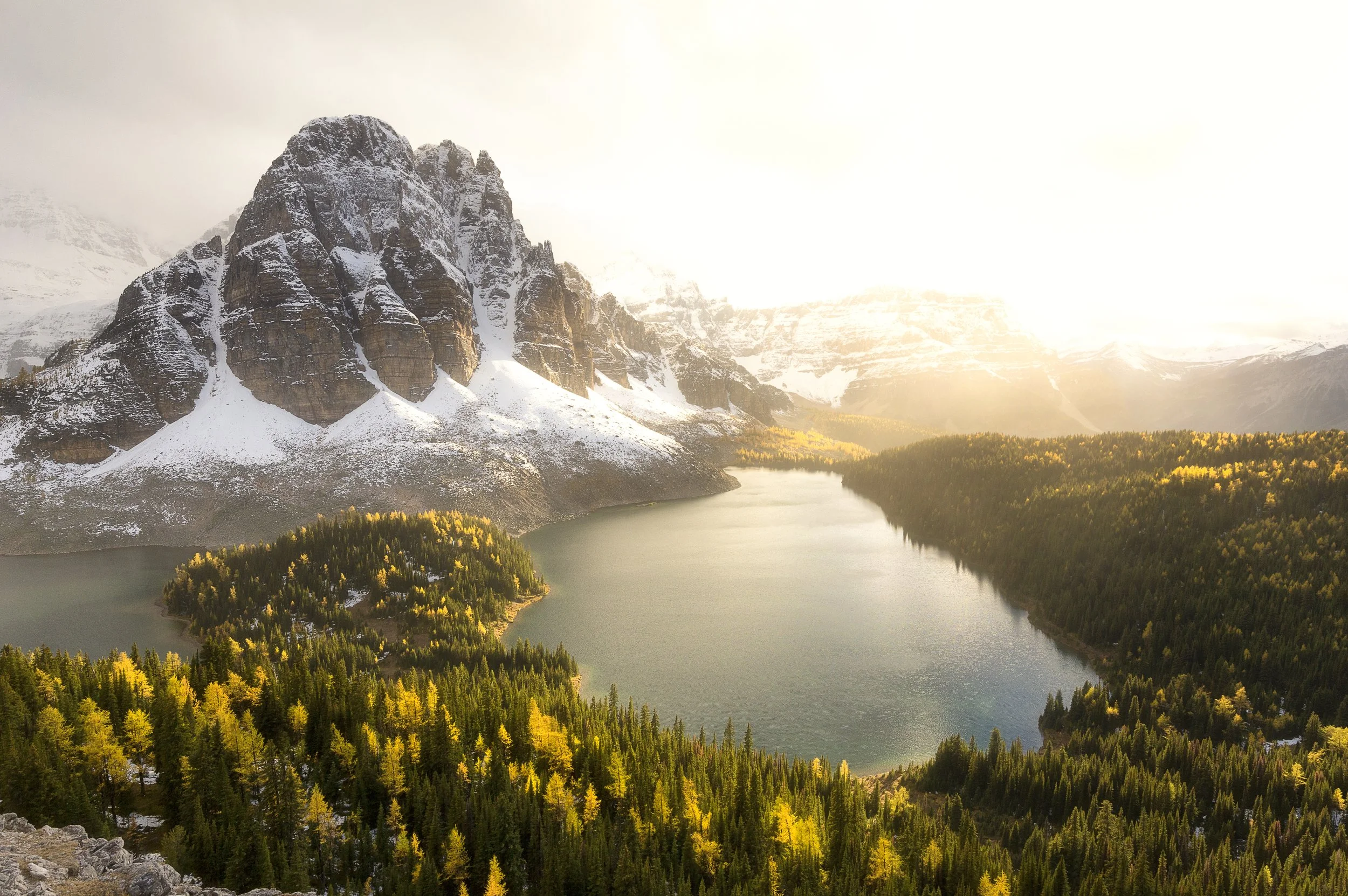 Views from the Niblet