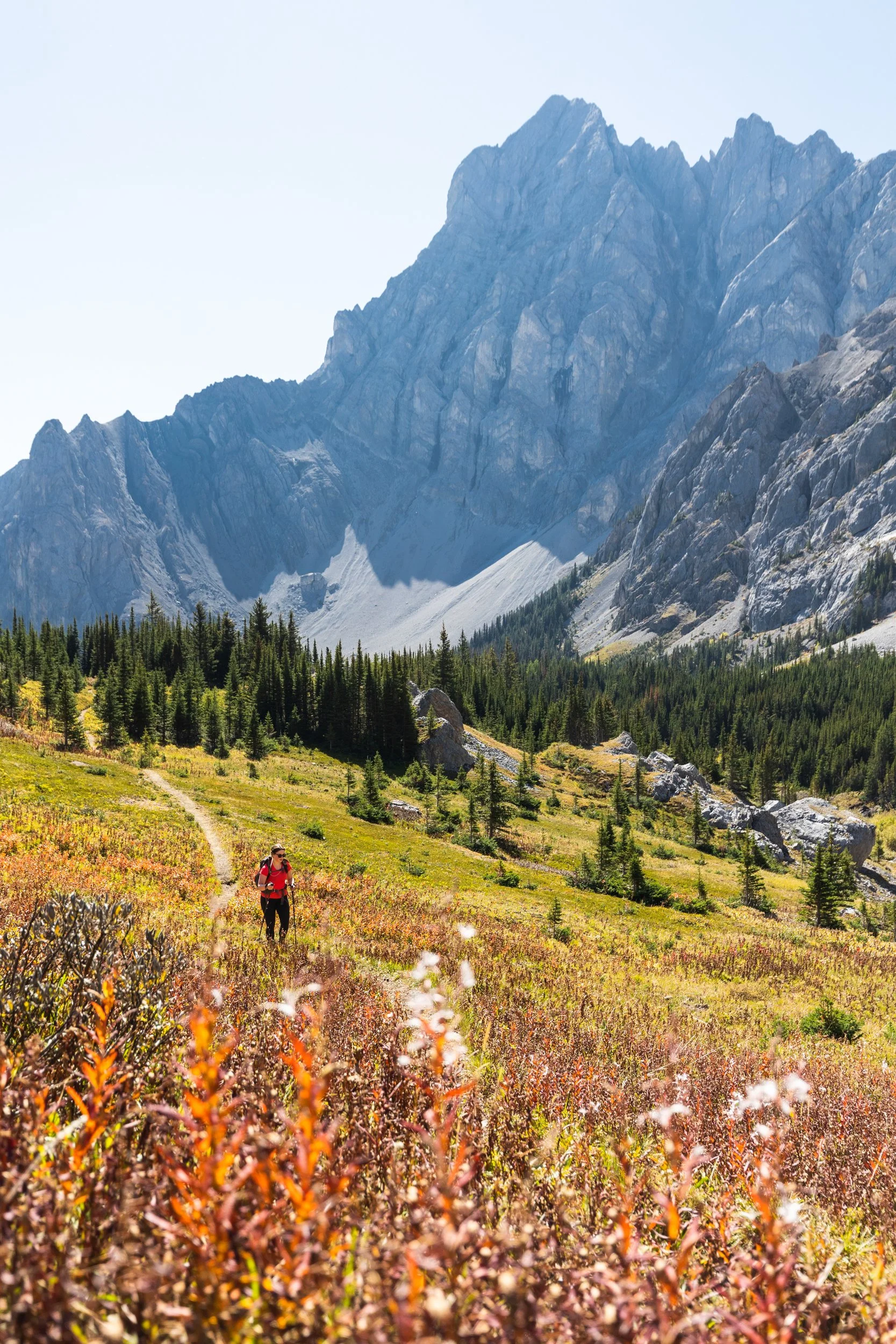pipers pass meadow