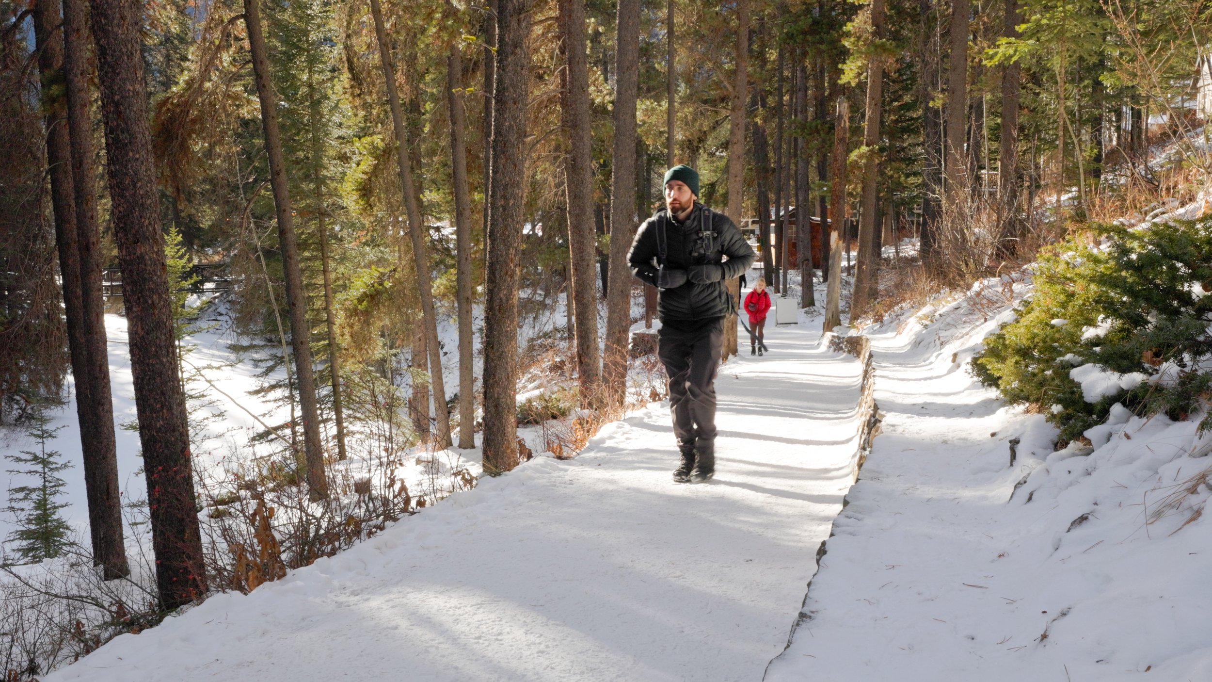 johnston canyon trail