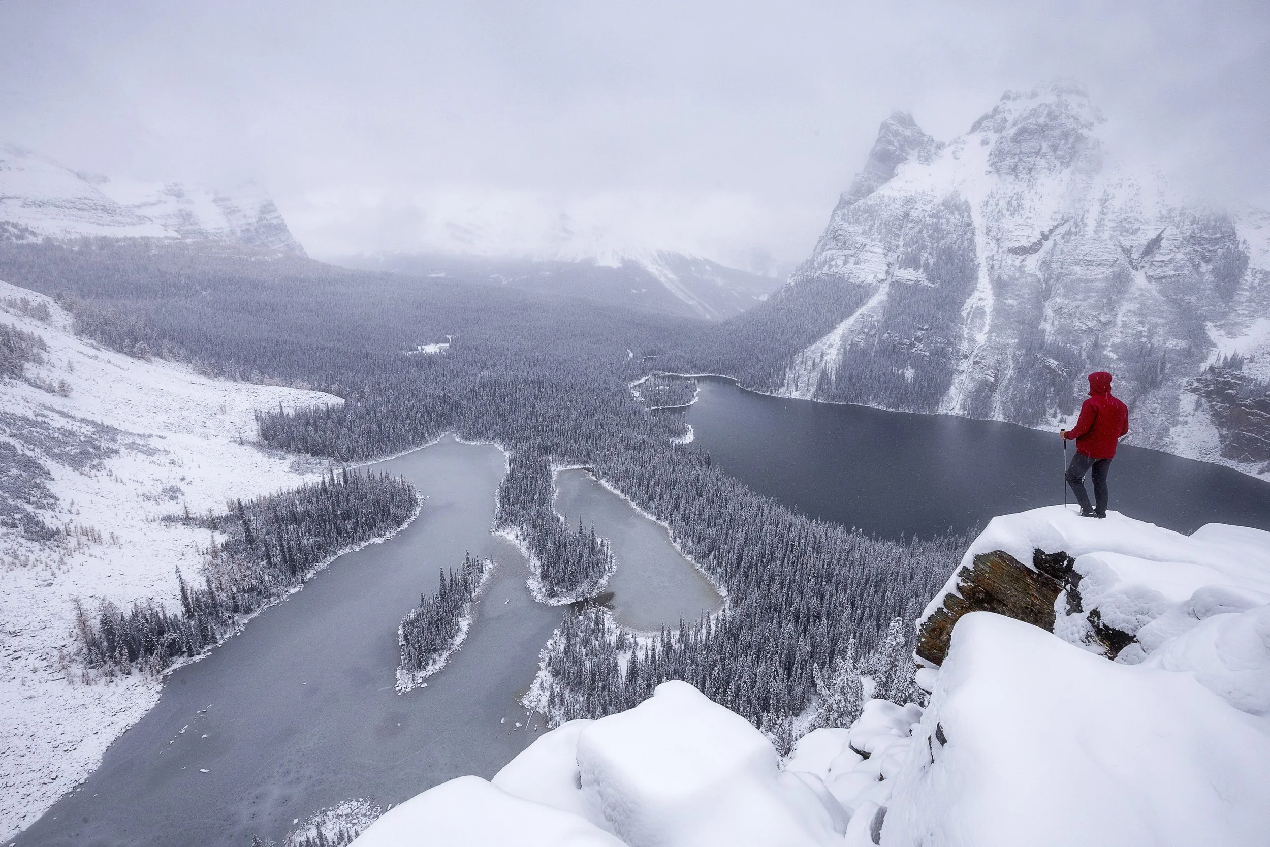 snowy Lake O'Hara