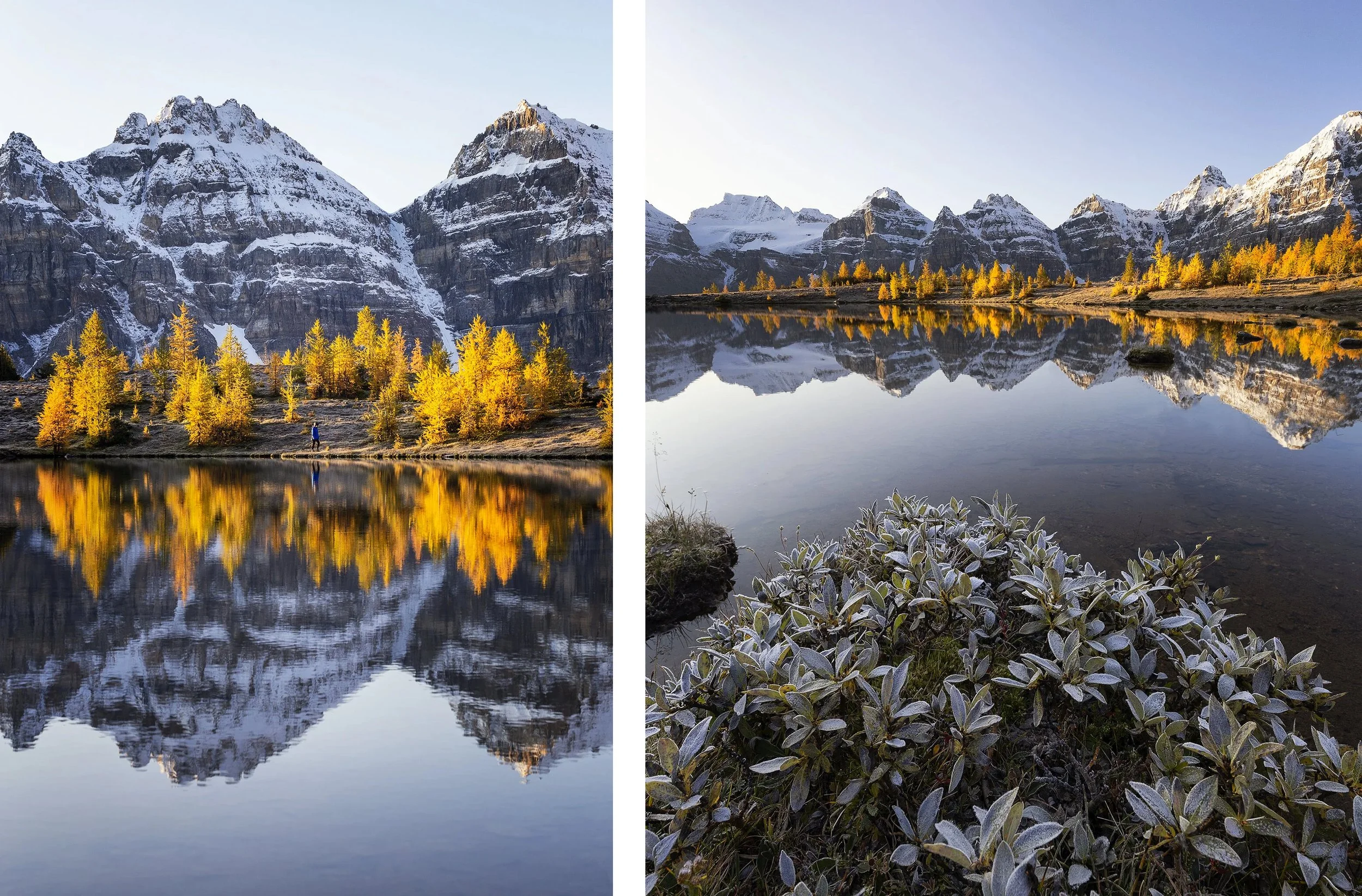 larch valley sunrise