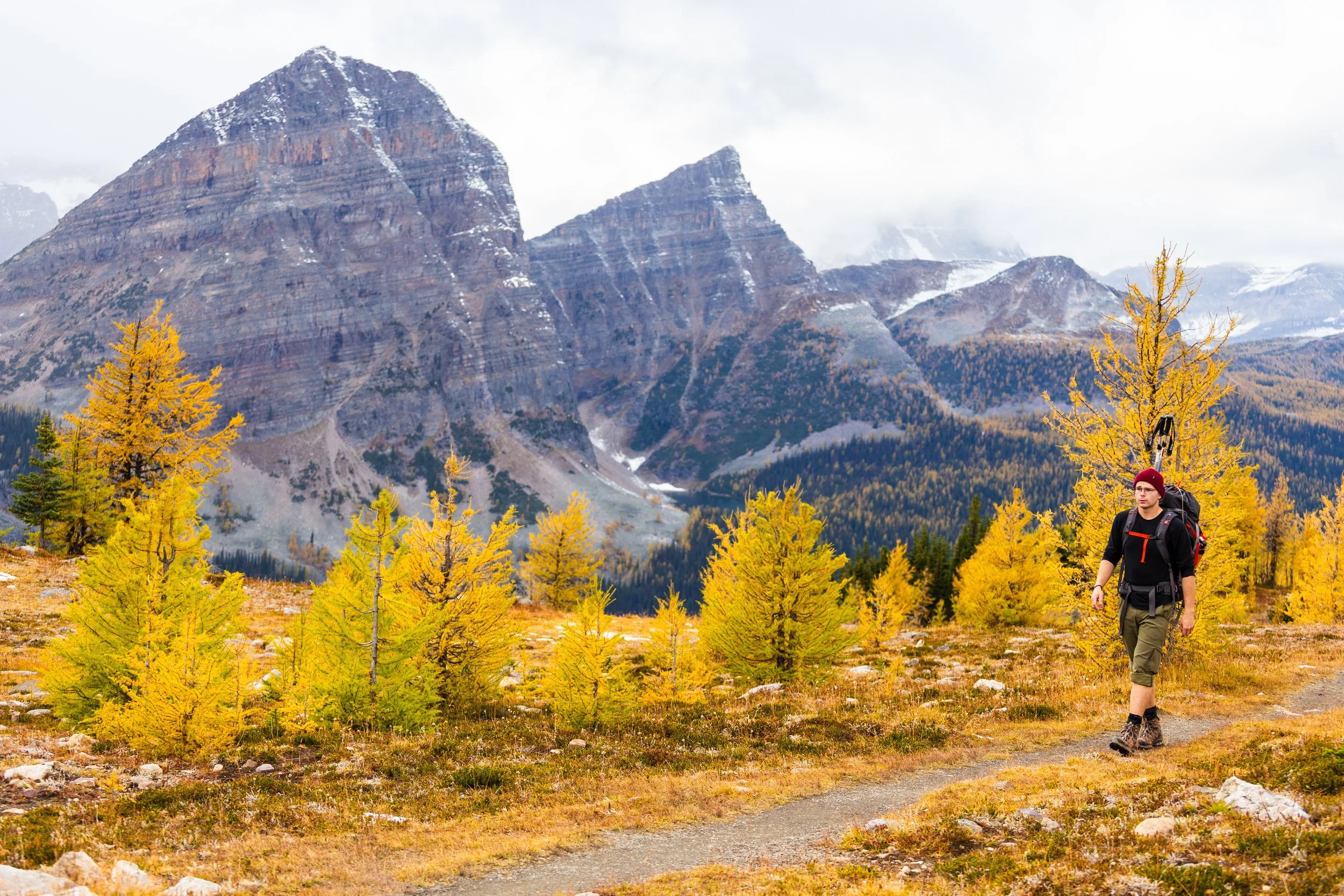 Healy Pass - Banff (With an alternative return)