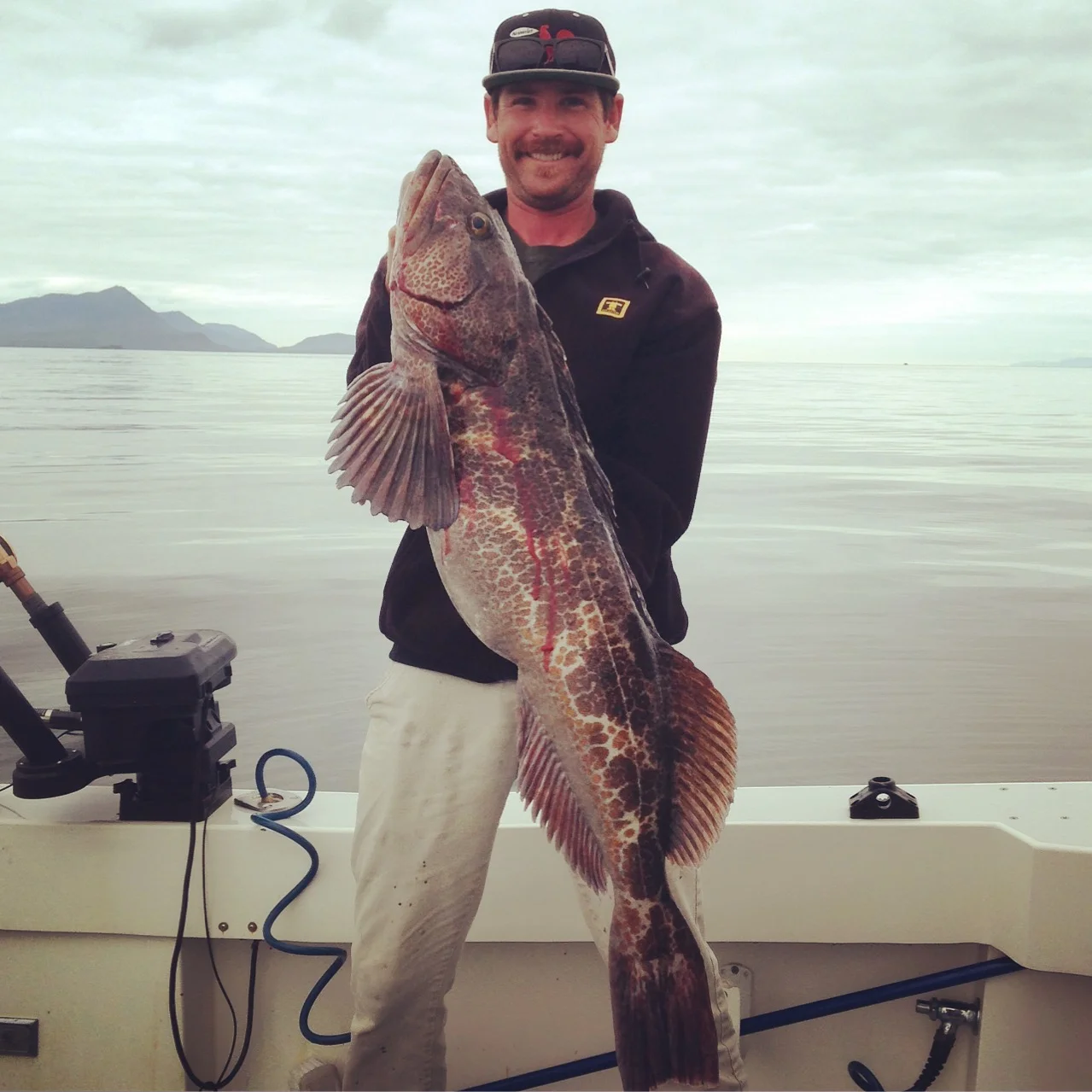 Charter fishing for Ling Cod Ketchikan Alaska