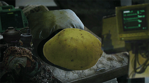 POM_04_sm.gif