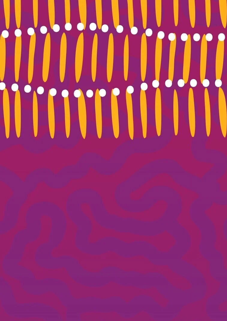 FREE Virtual Workshop: Inclusive, Equitable Classrooms