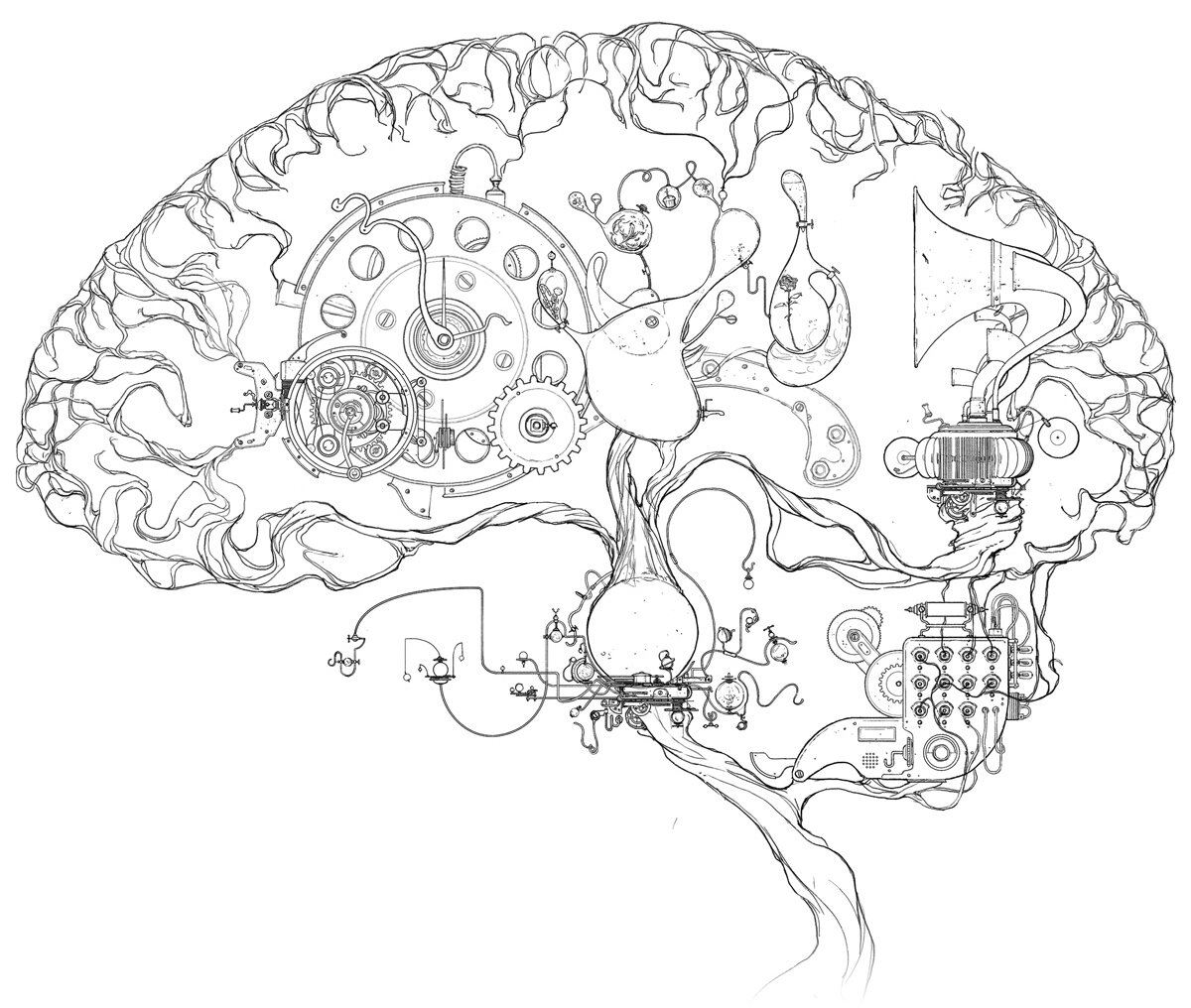 Sketch of the Brain