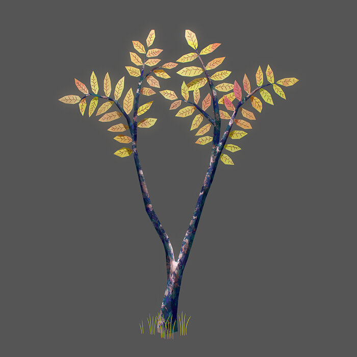 Rowan Tree Male