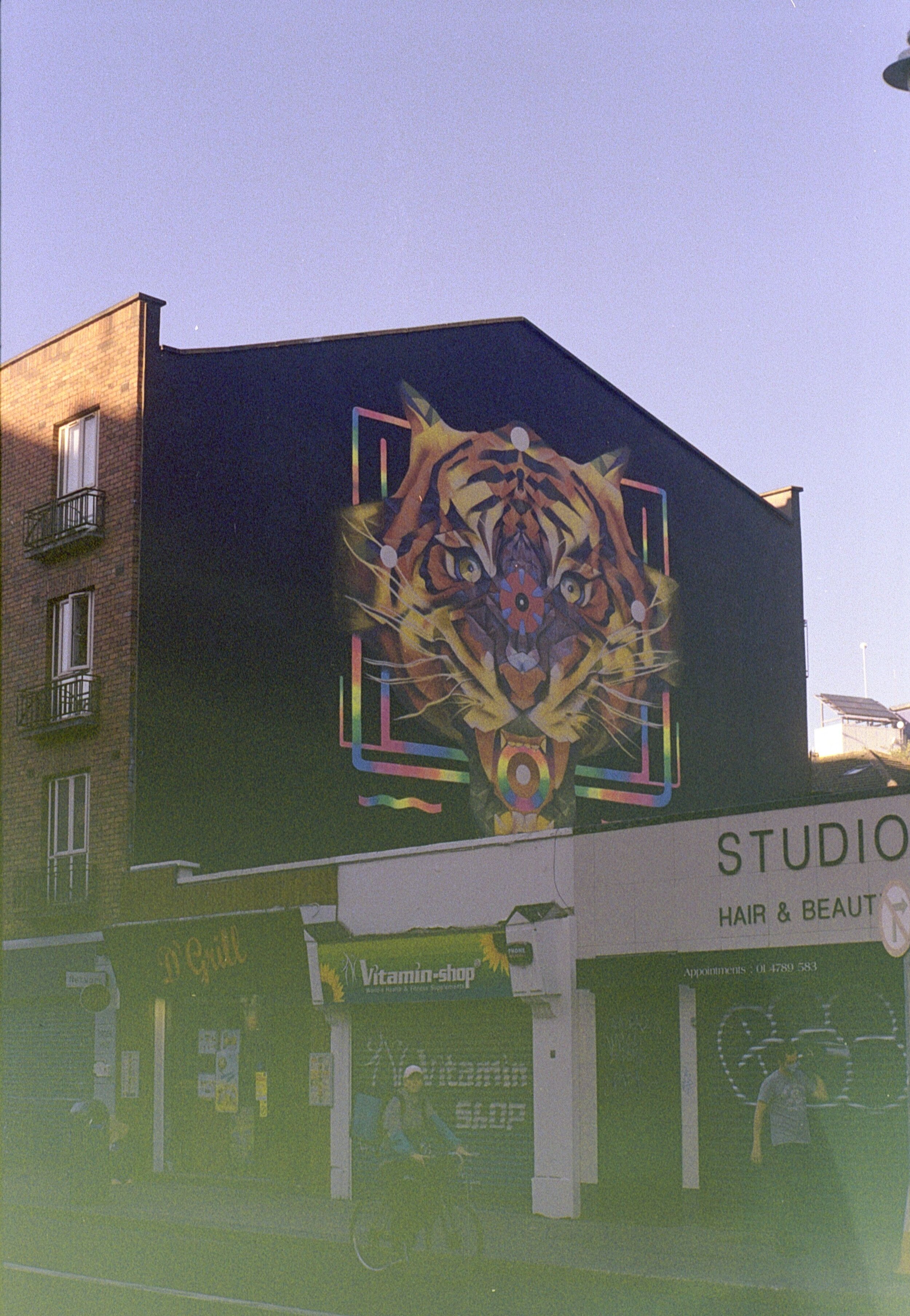 Subset Tiger.jpg