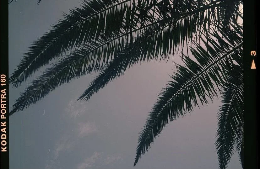 3 weeks in Tenerife in 6 minutes. :)