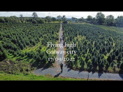 Flying High in Galway  