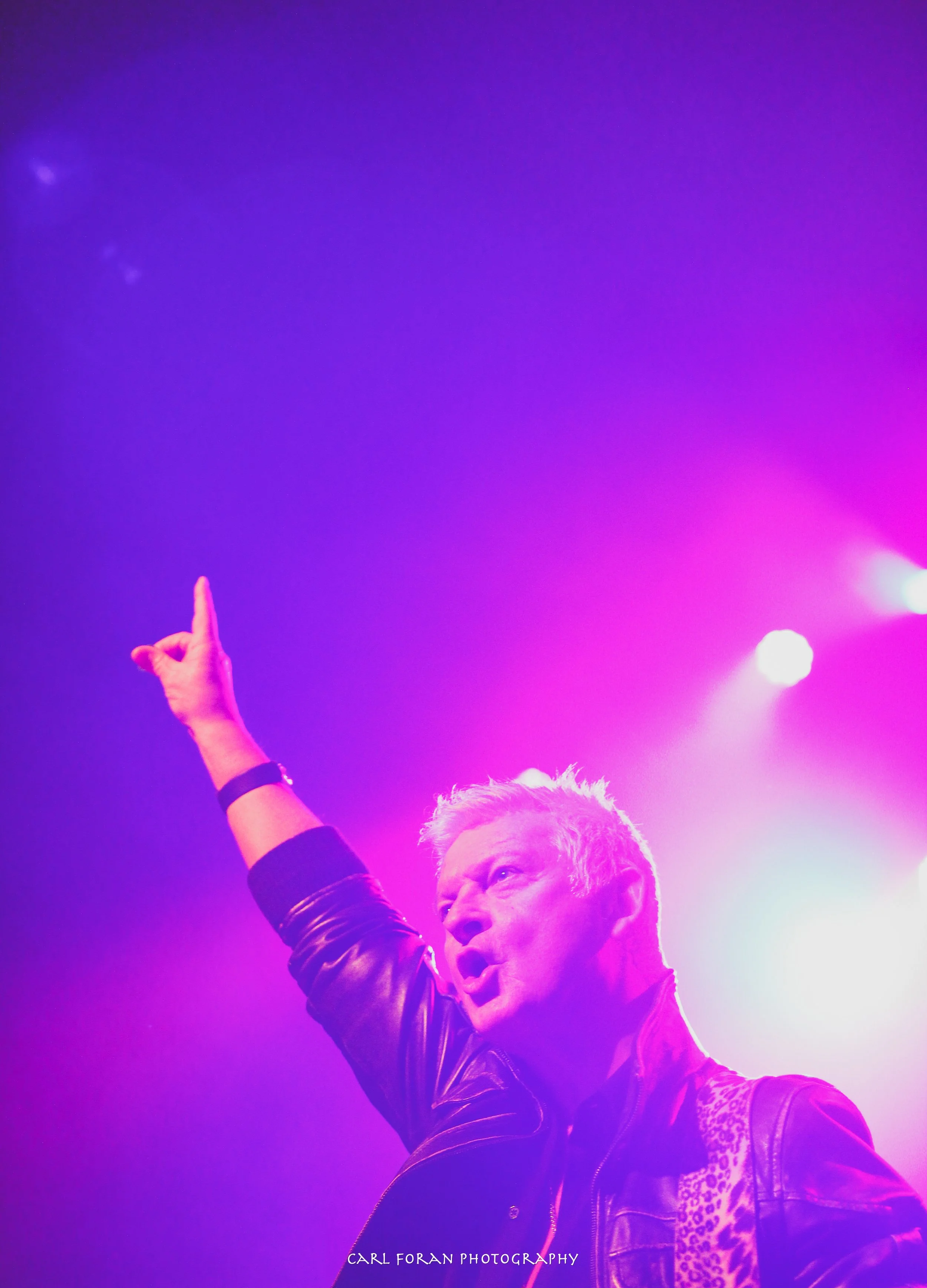 Carl Foran Photography-1346.jpg