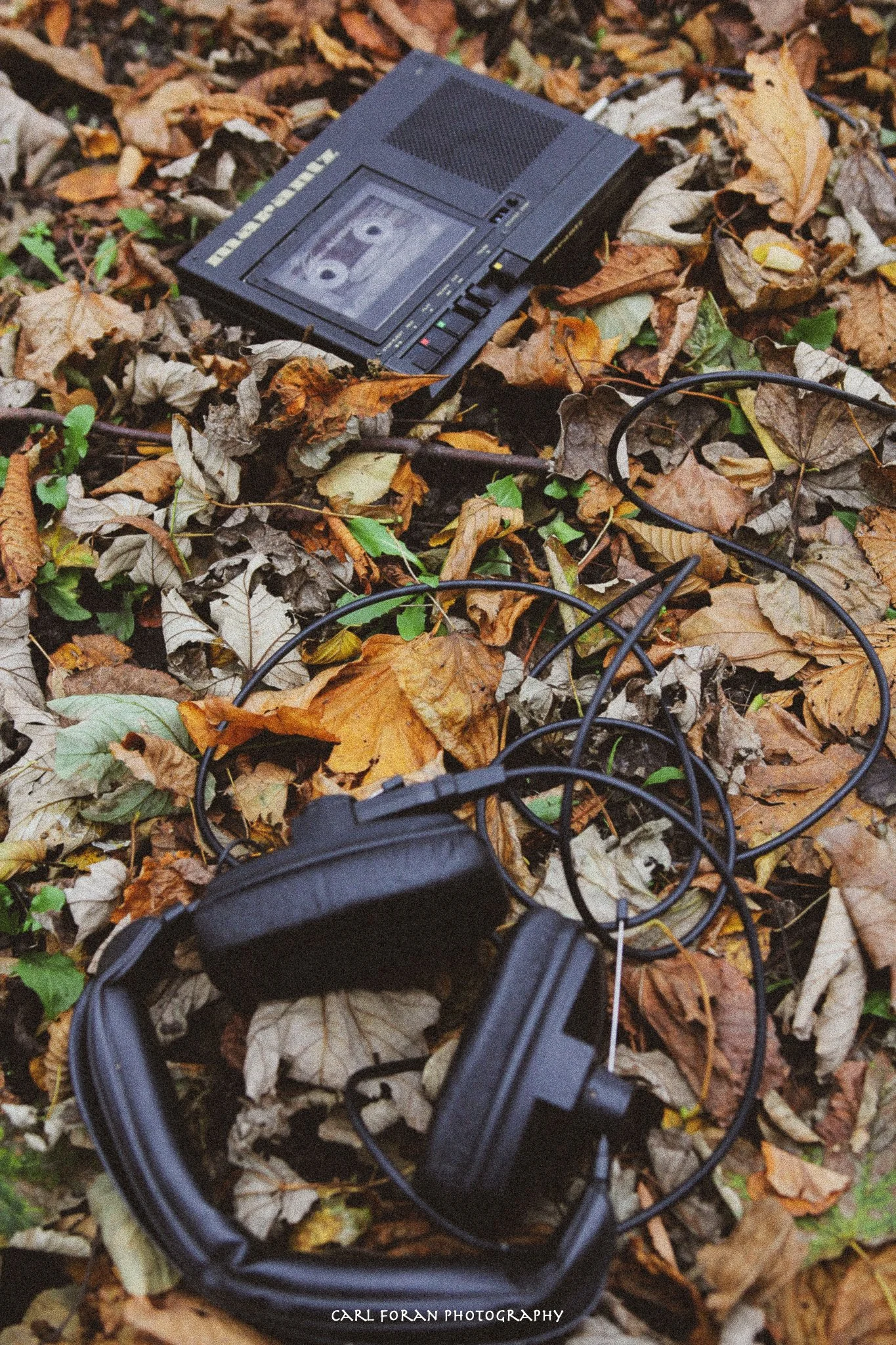 Carl Foran Photography-1406.jpg