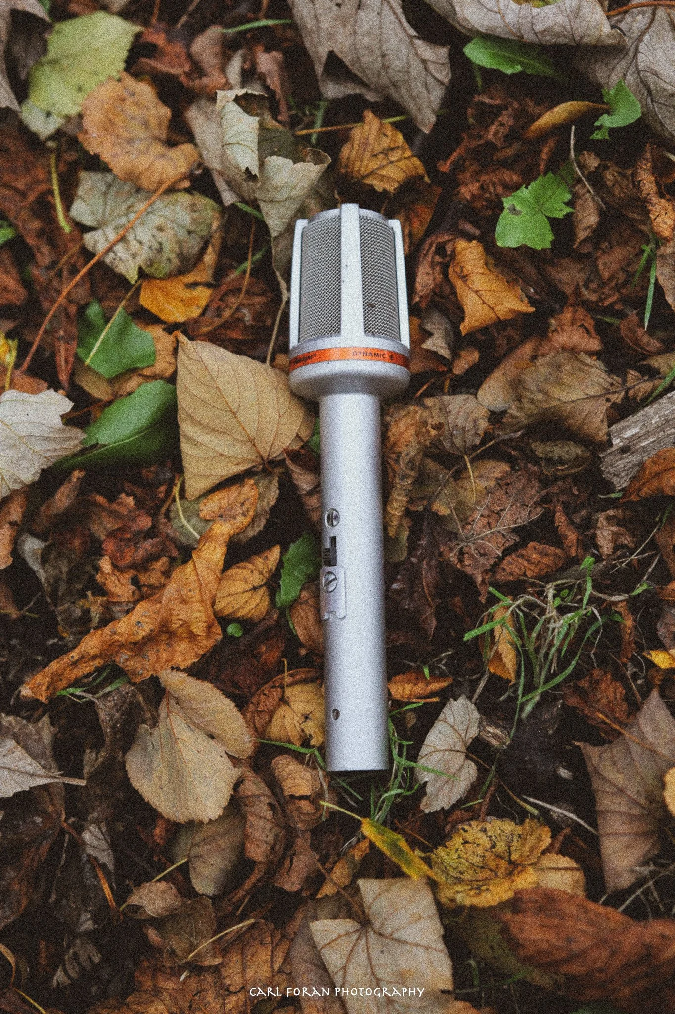 Carl Foran Photography-1407.jpg