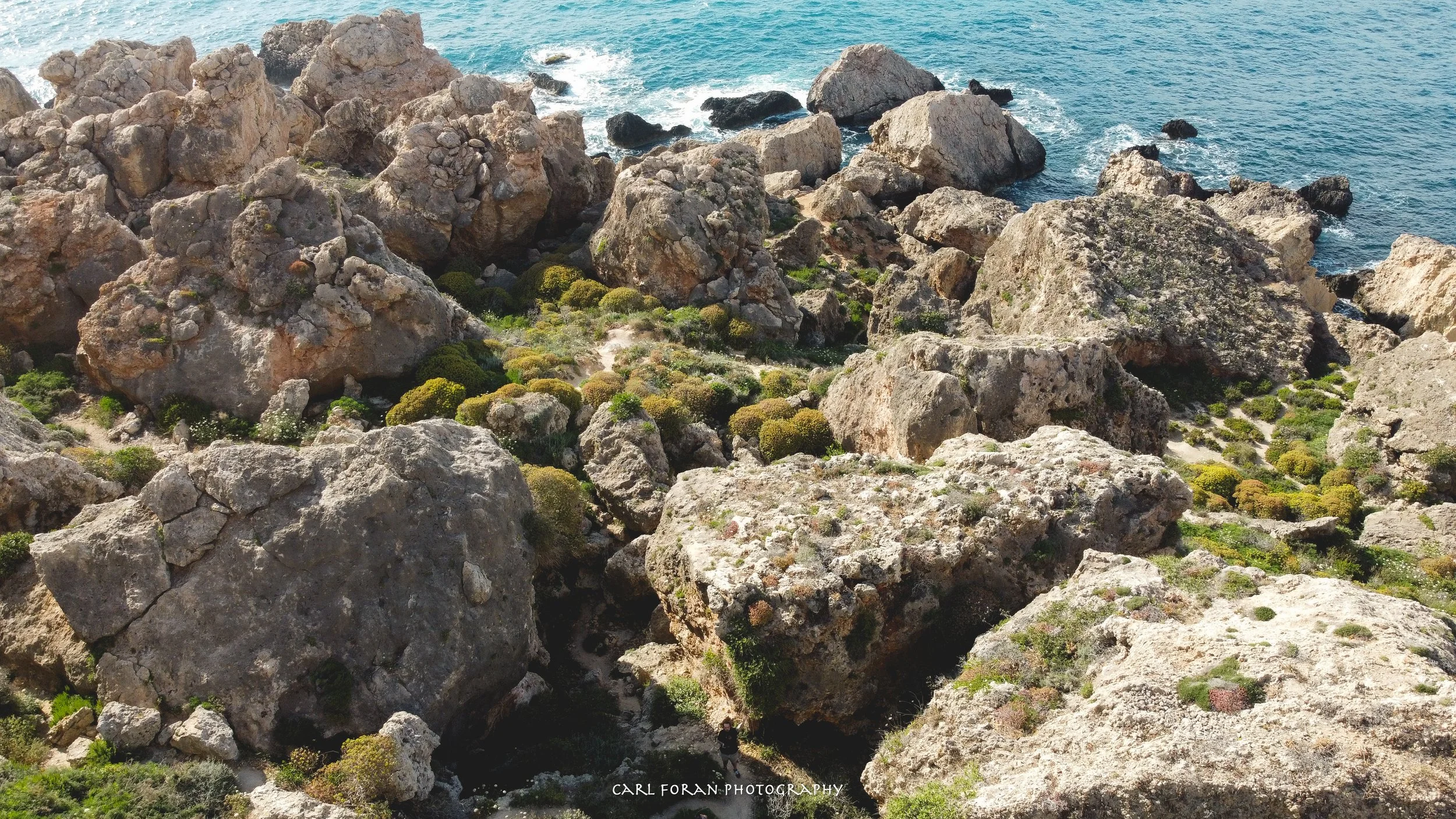 Carl Foran Photography-1419.jpg