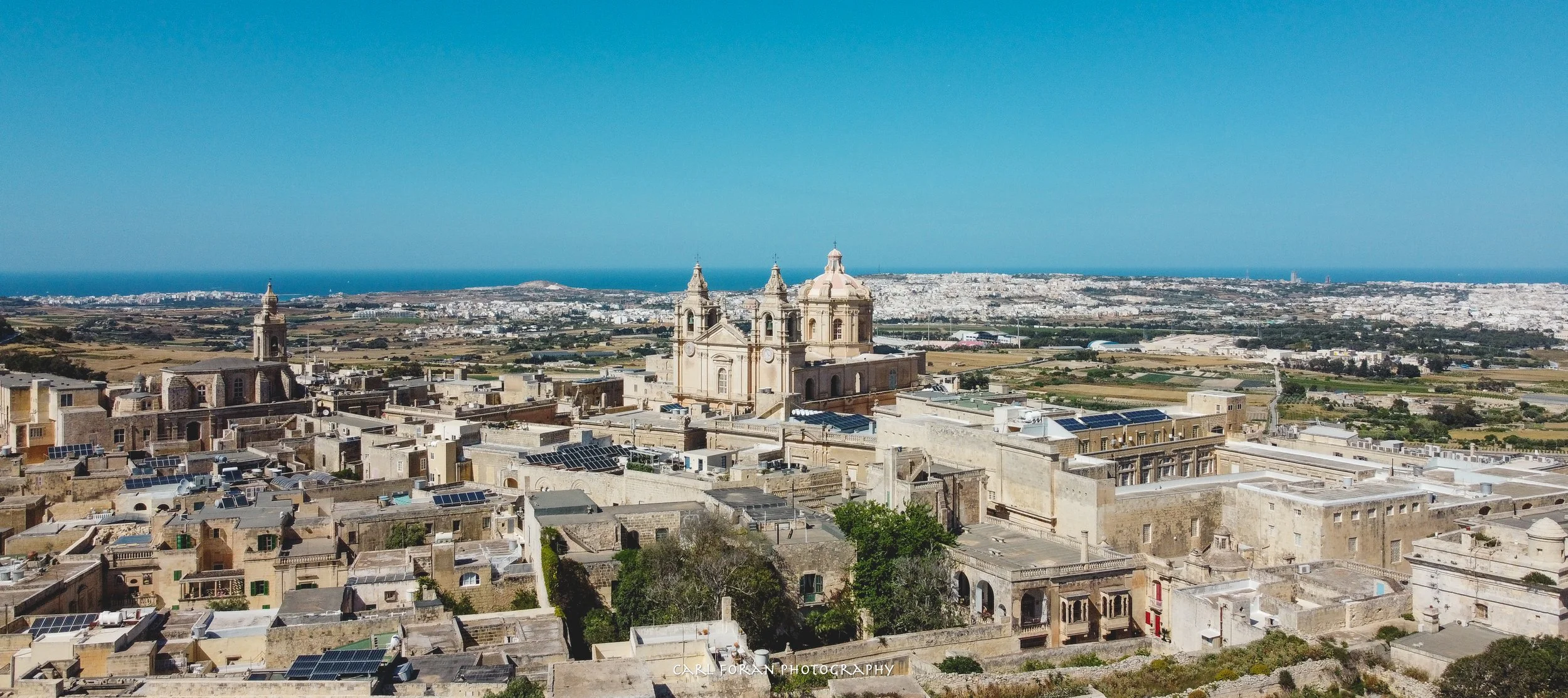 Carl Foran Photography-1423.jpg