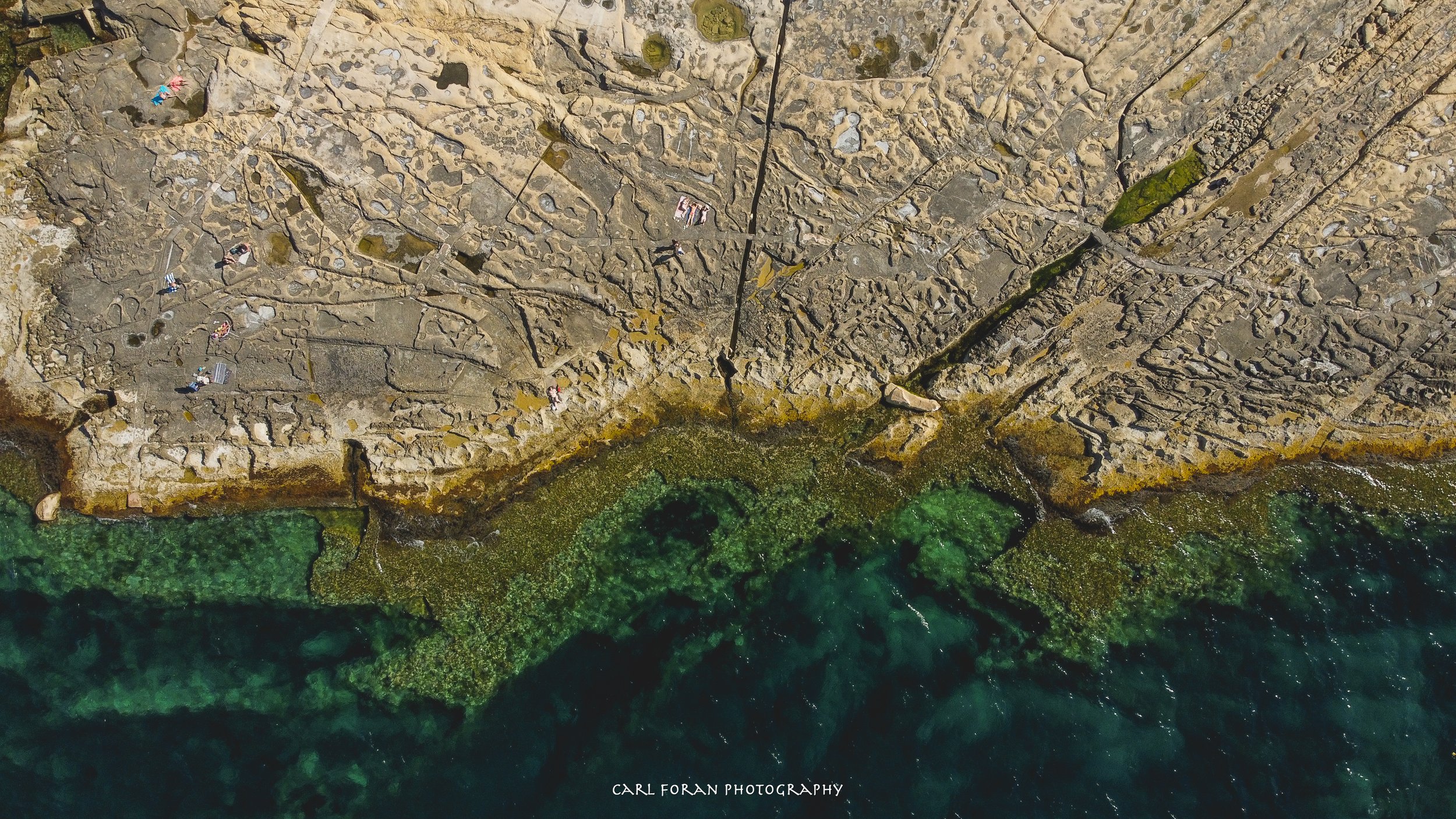 Carl Foran Photography-1429.jpg