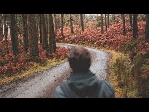 Green, Red and Ethereal 🌳🍁🪵🍂