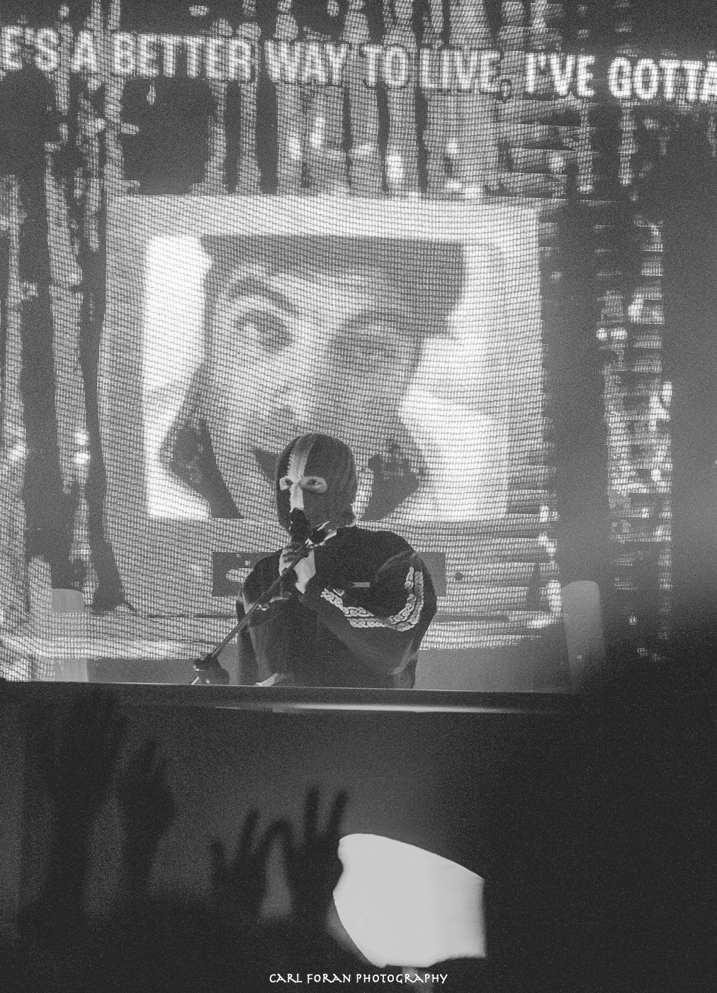 KNEECAP PLUS SUPPORT -65.jpg