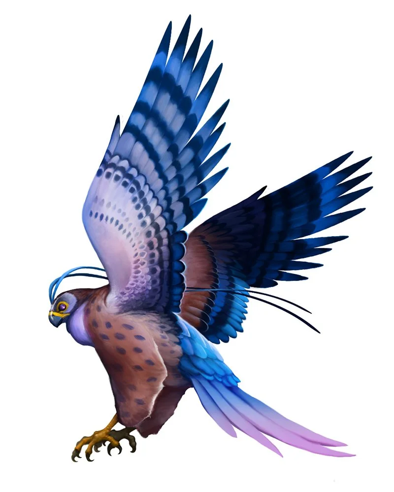 meehan-seekerfalcon.jpg