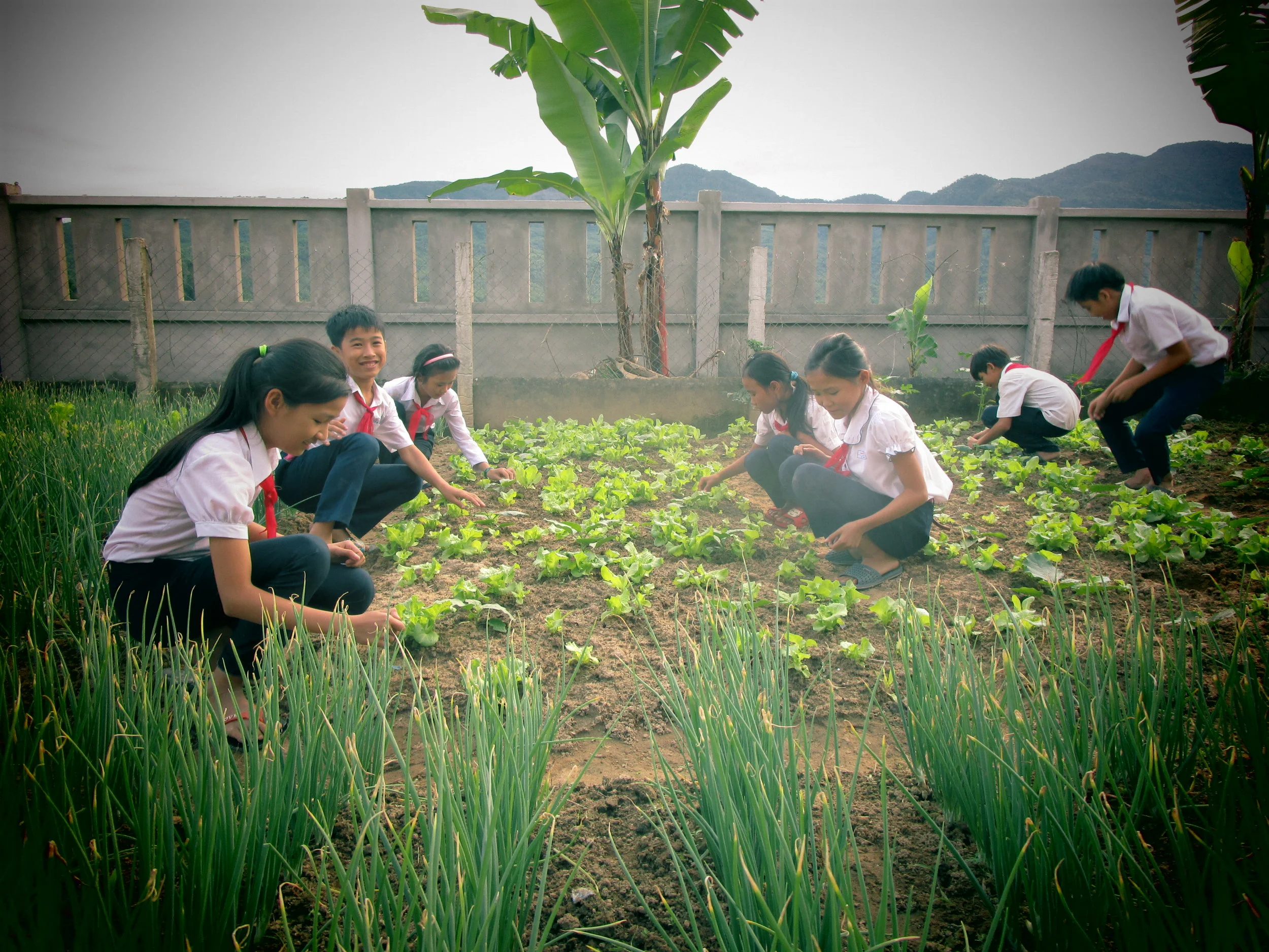 Food Plant Solutions Rotary Action Group