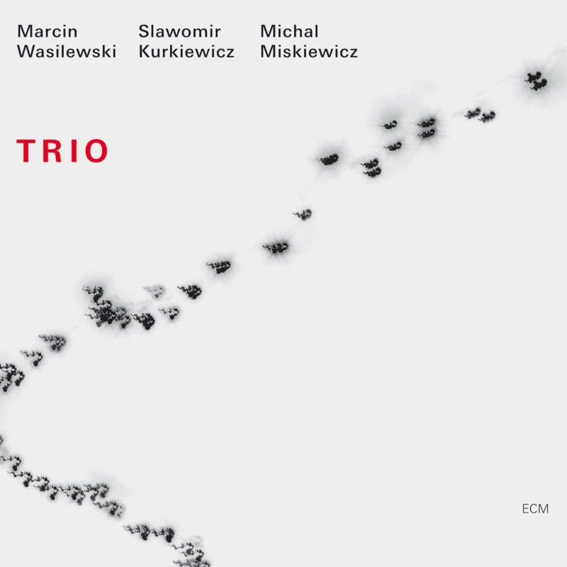 Simple Acoustic Trio "Trio"