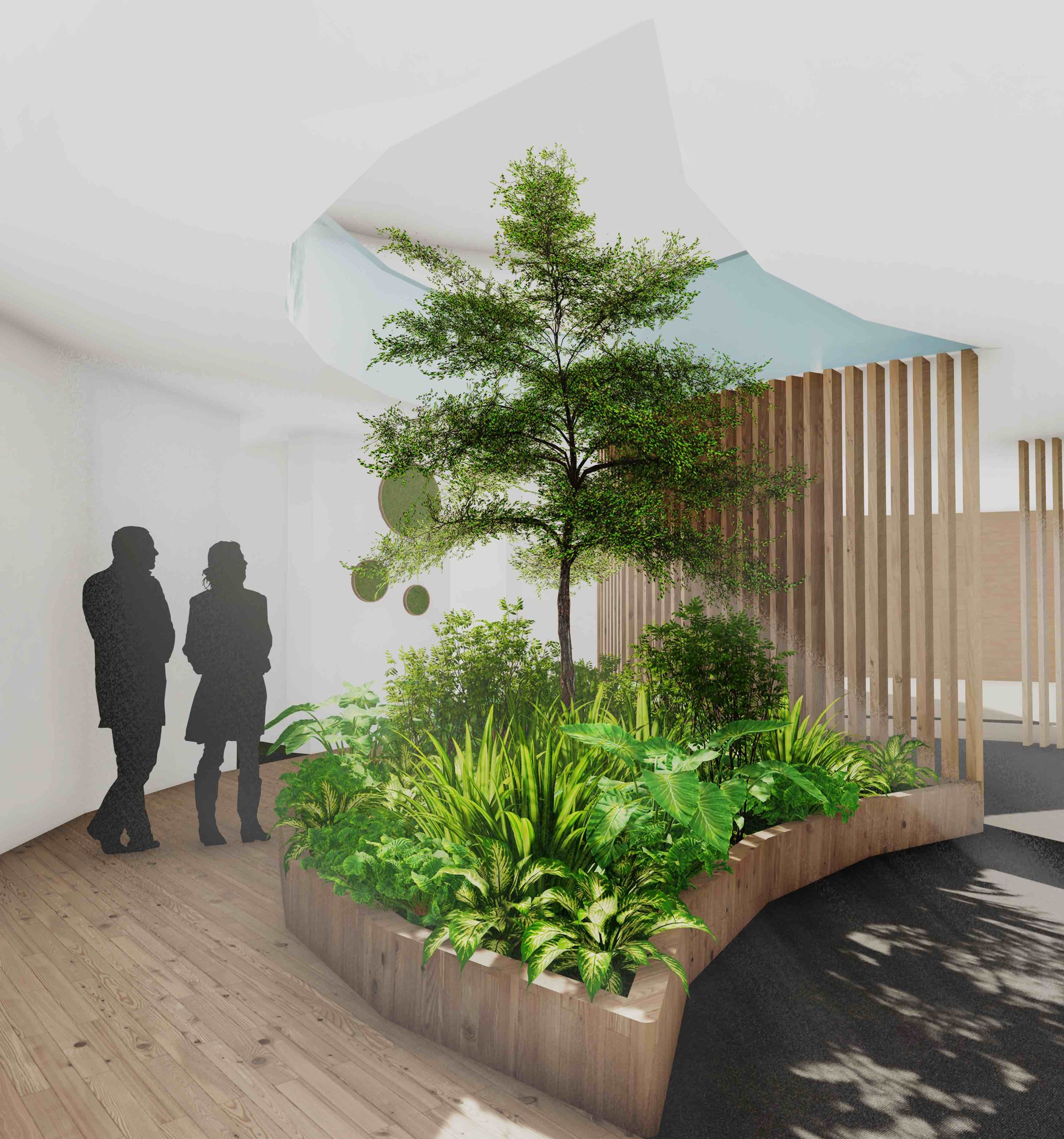 Air purifying plants in biophilic interiors — biofilico design studio