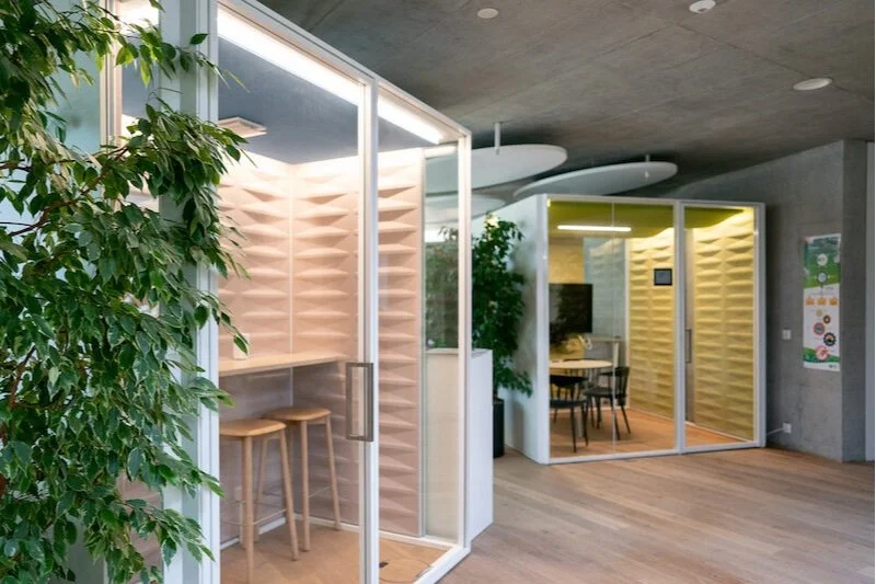 6 Inspiring Examples of Effective and Aesthetic Acoustic Solutions - Industrial Apartment Wellness Interior Design For Acoustic Comfort