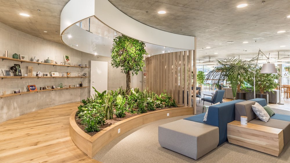 Healthy coworking office design interiors — biofilico real estate &  interiors