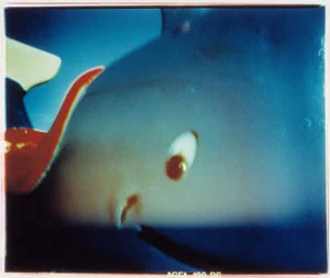 © Susanne Ramsenthaler