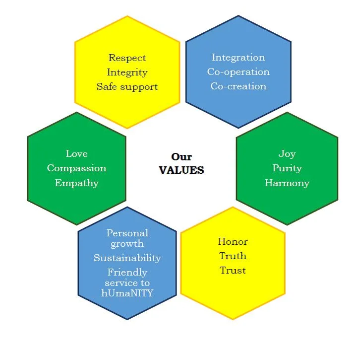 Values For Health Example Vision & Values | Wellington Holistic Health & Bio Energy | NatuneHeal ...