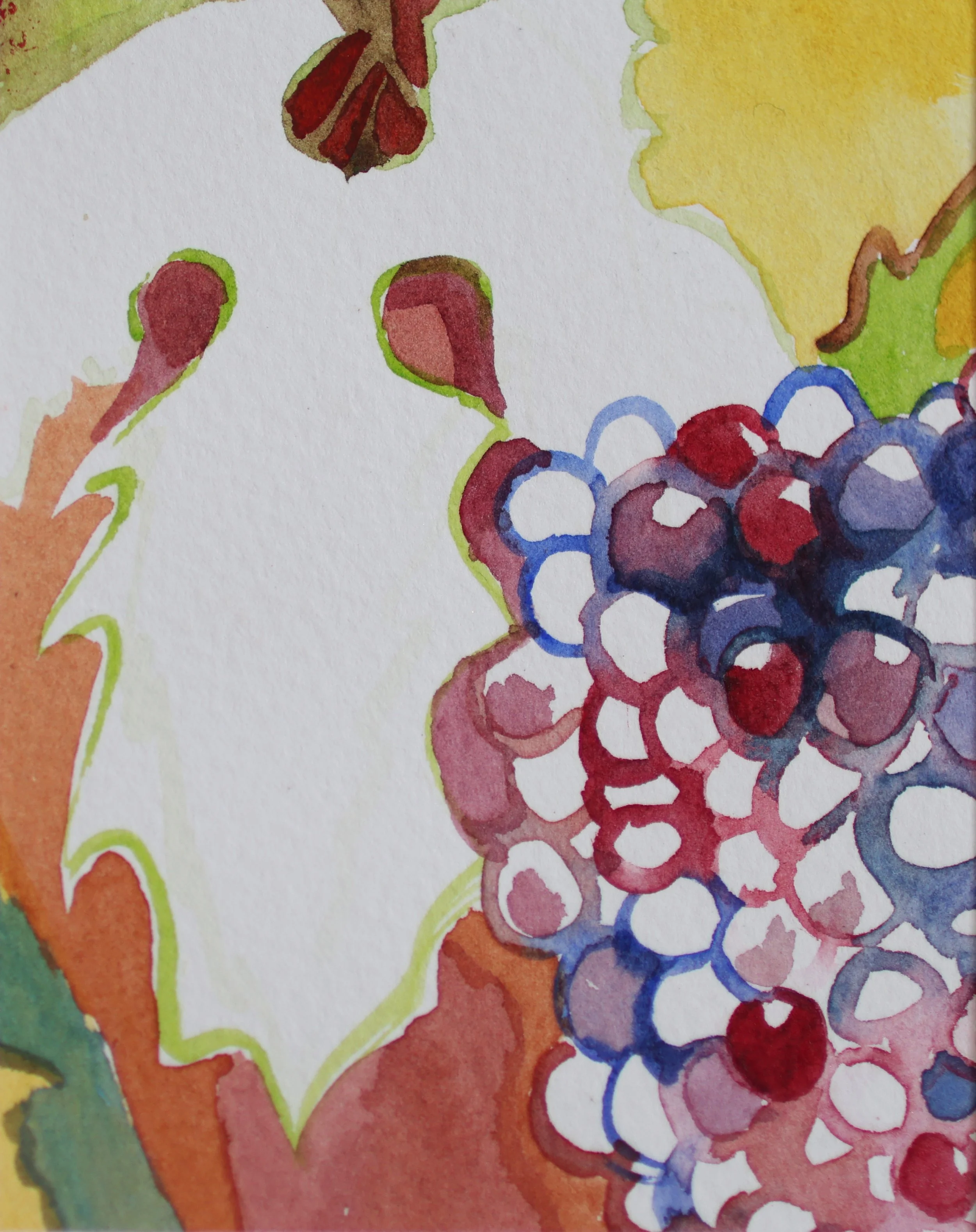 Watercolourgrape2.jpg