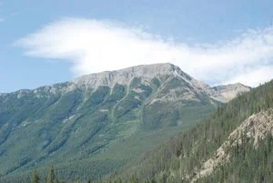 DSC_0127.jpg