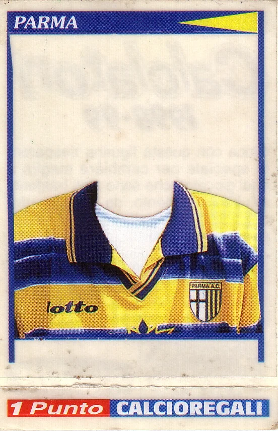 Maglia intercambiabile.JPG