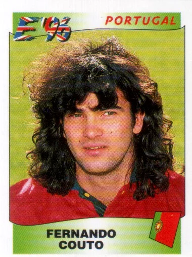 Panini Euro 1996