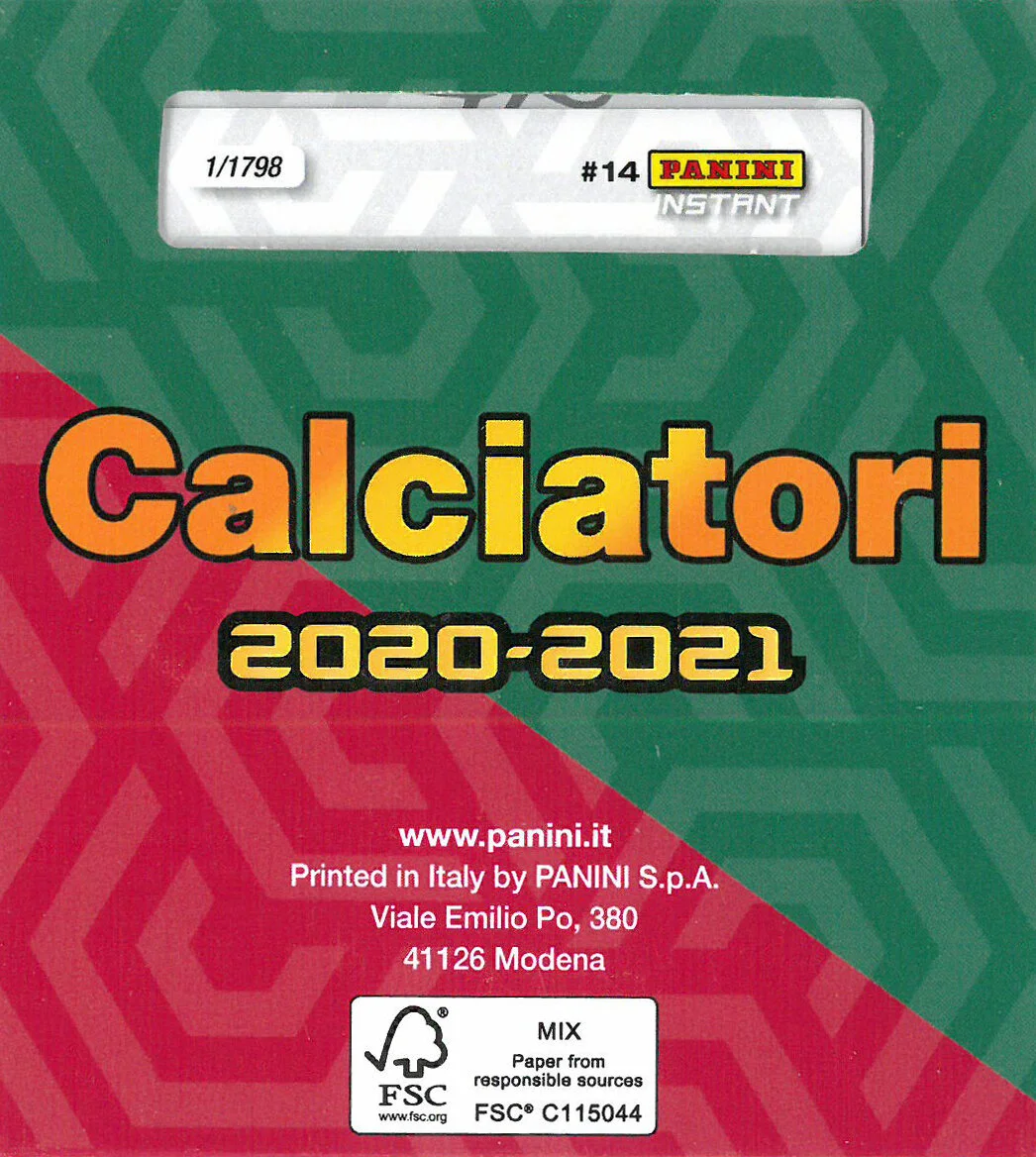 Panini-instant-r.jpg