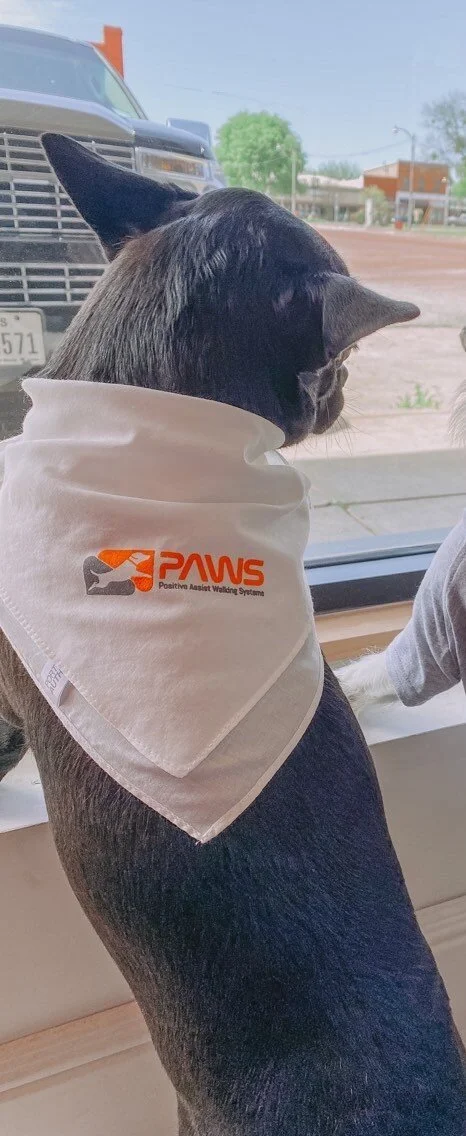 Dog Bandana