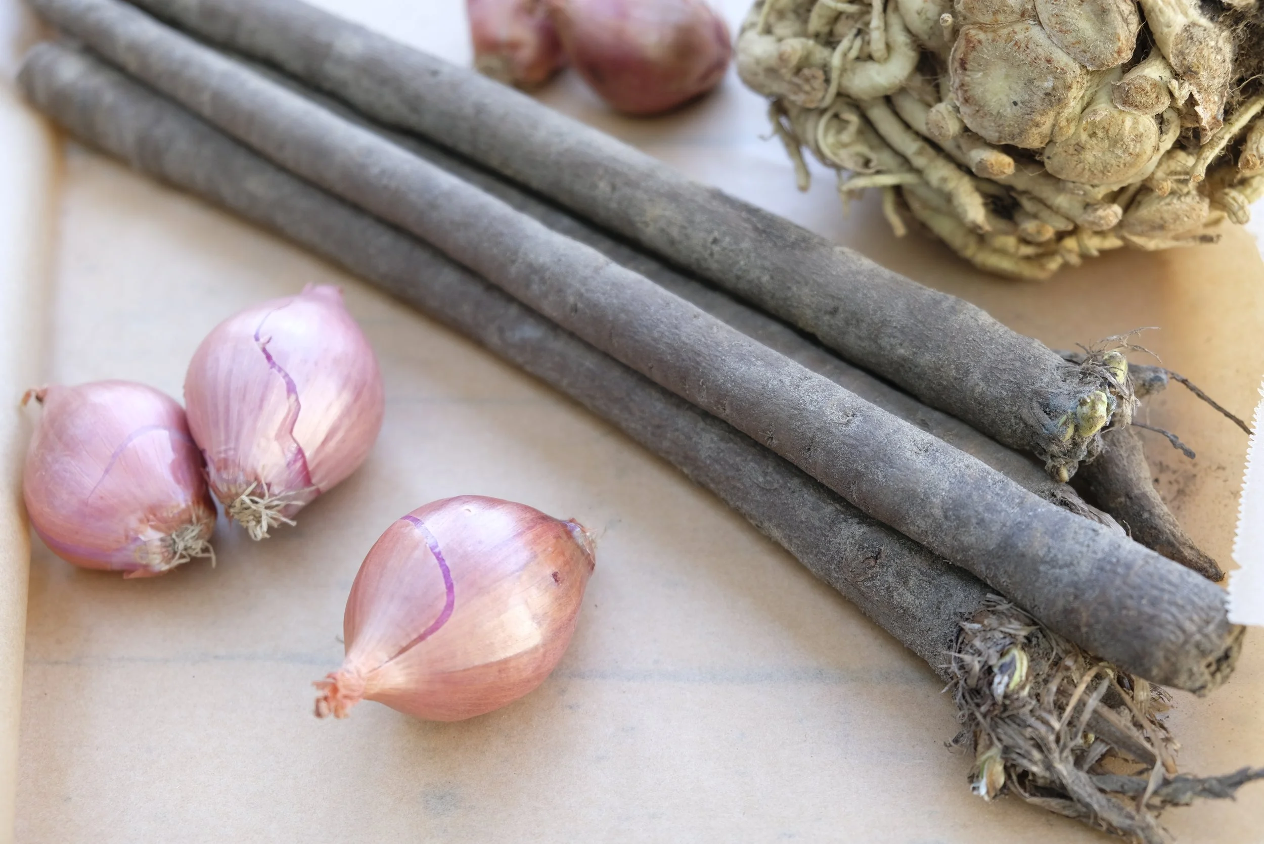 Schorseneren in kerrieroomsaus