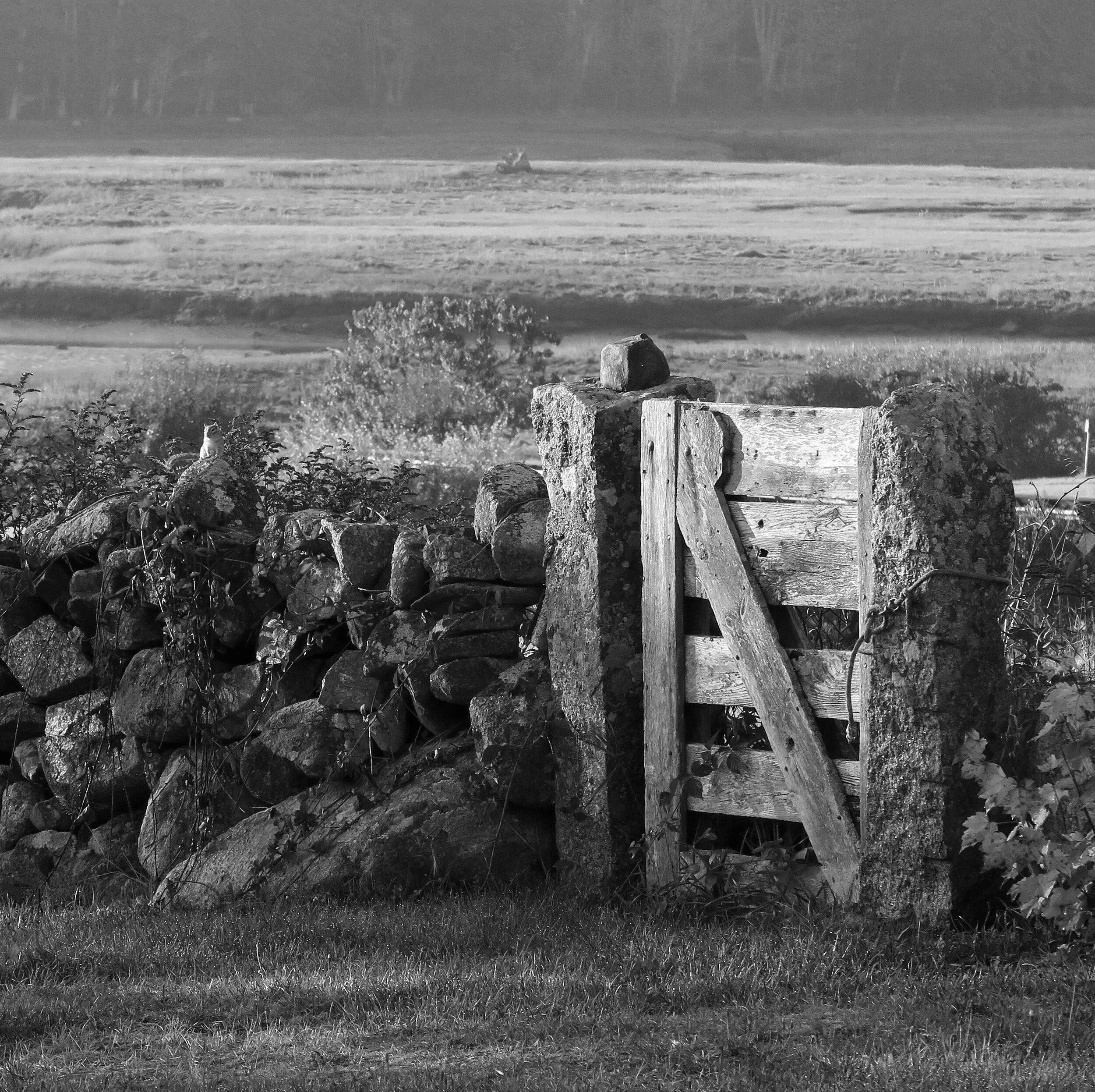 The Obstacle in my path