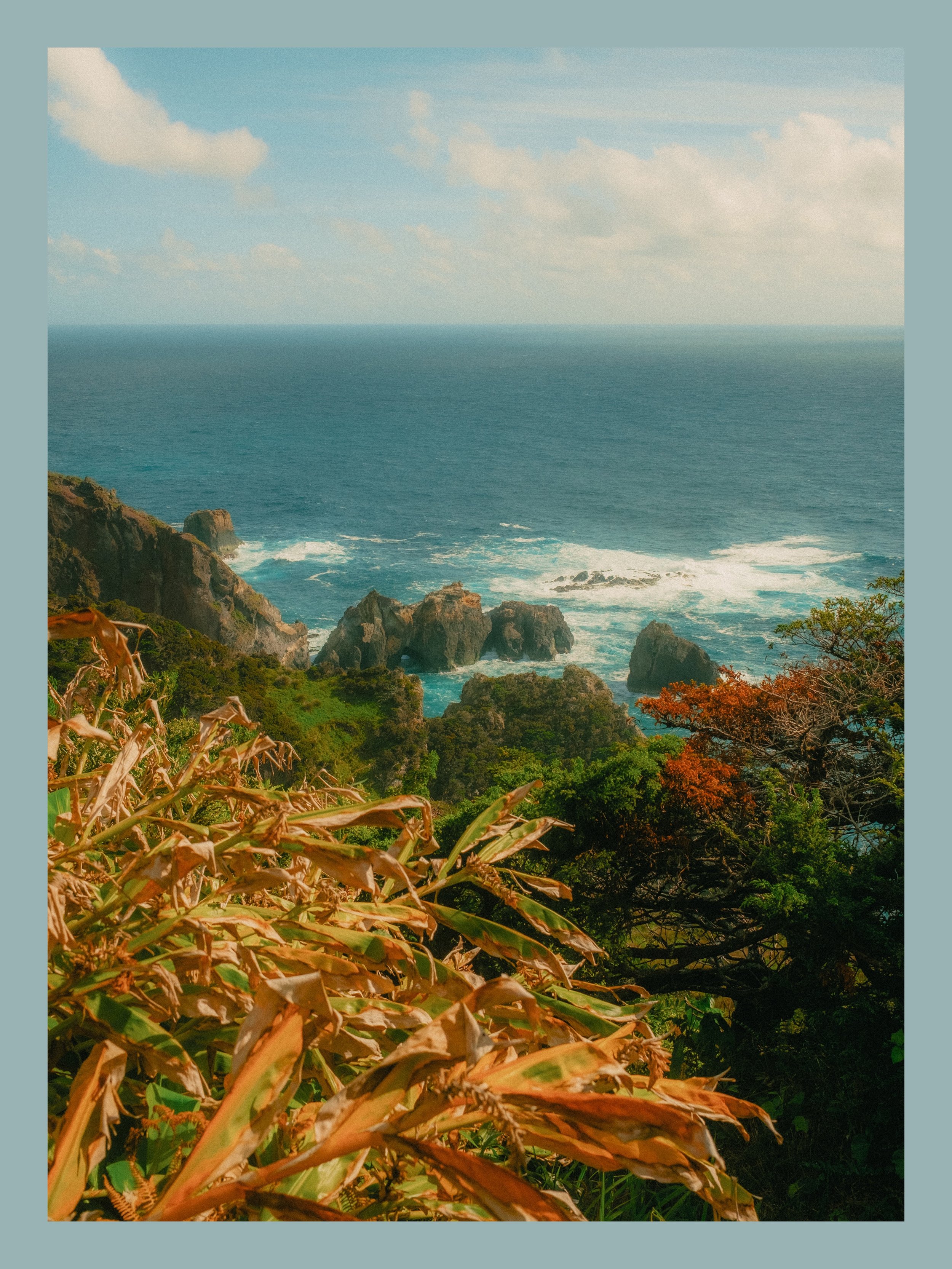 the color palette of the azores 
&bull;
&bull;
&bull;
shot on fujifilm
&mdash;&mdash;&mdash;
@fujifilmx_us 
@fujifilm.shooters 
@moment cinebloom 10%
#X100V