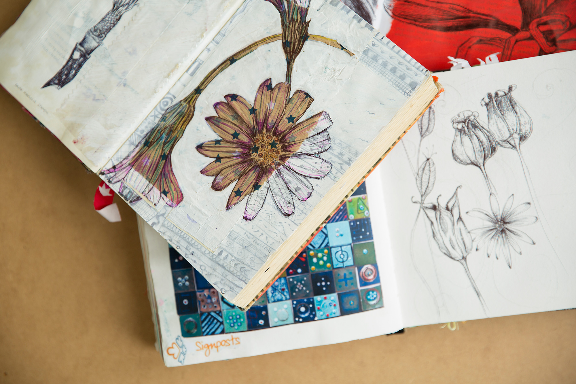 flower illustration illustrate workshop learn educate art lesson study
